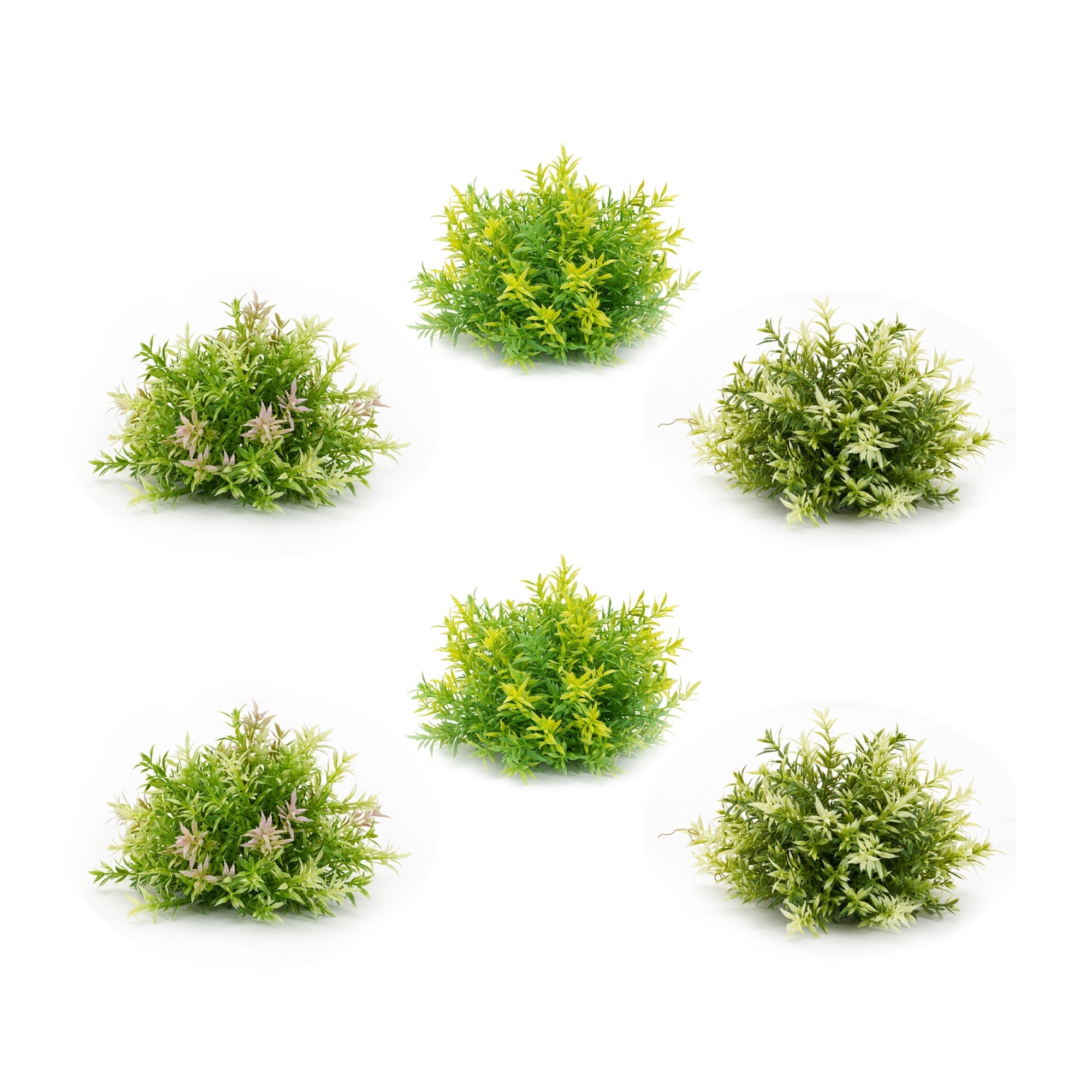 Mini-leaf-half-orb-(set-of-6)-Artificial-Flowering-Plants