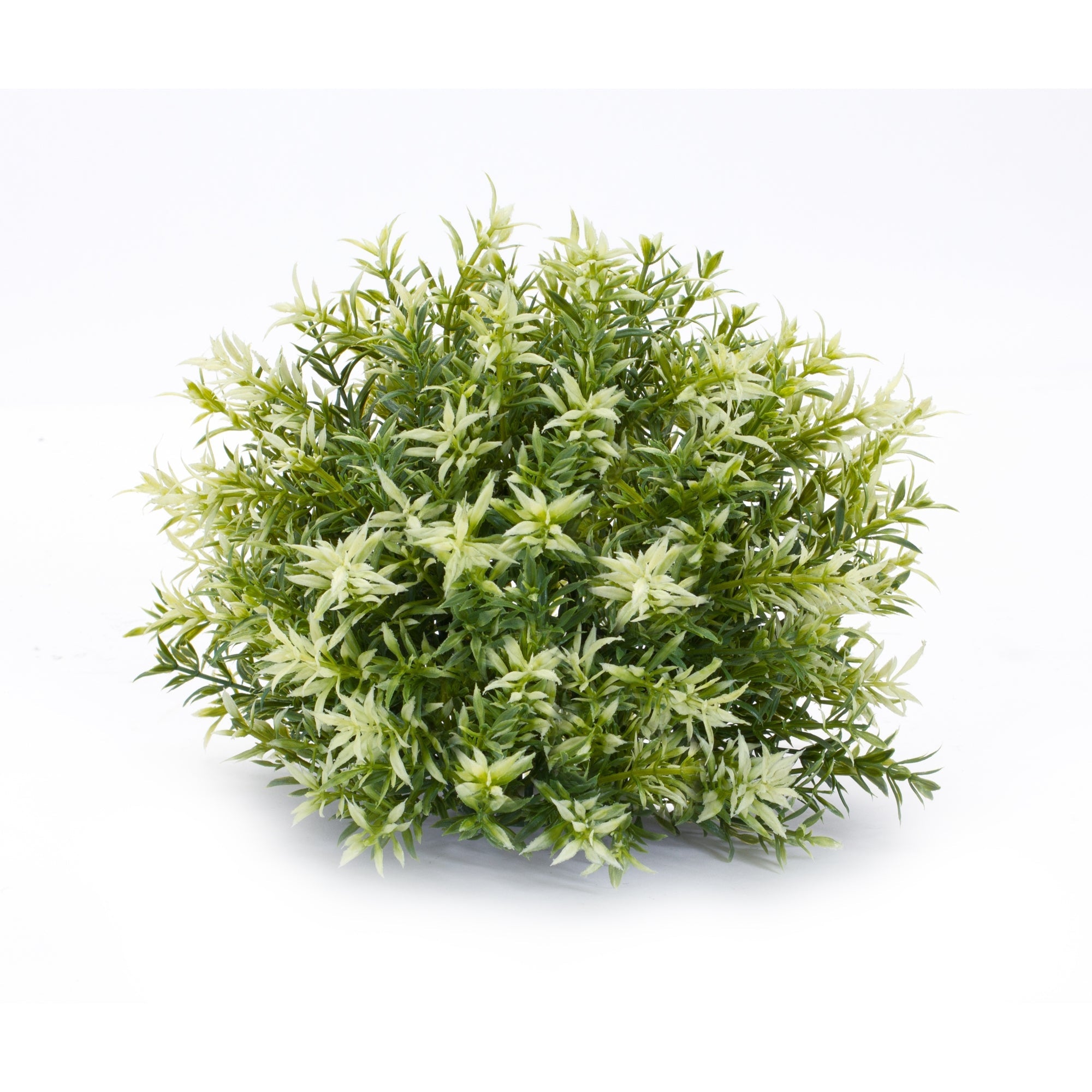 Varigated Mini Leaf Half Orb (Set of 6)