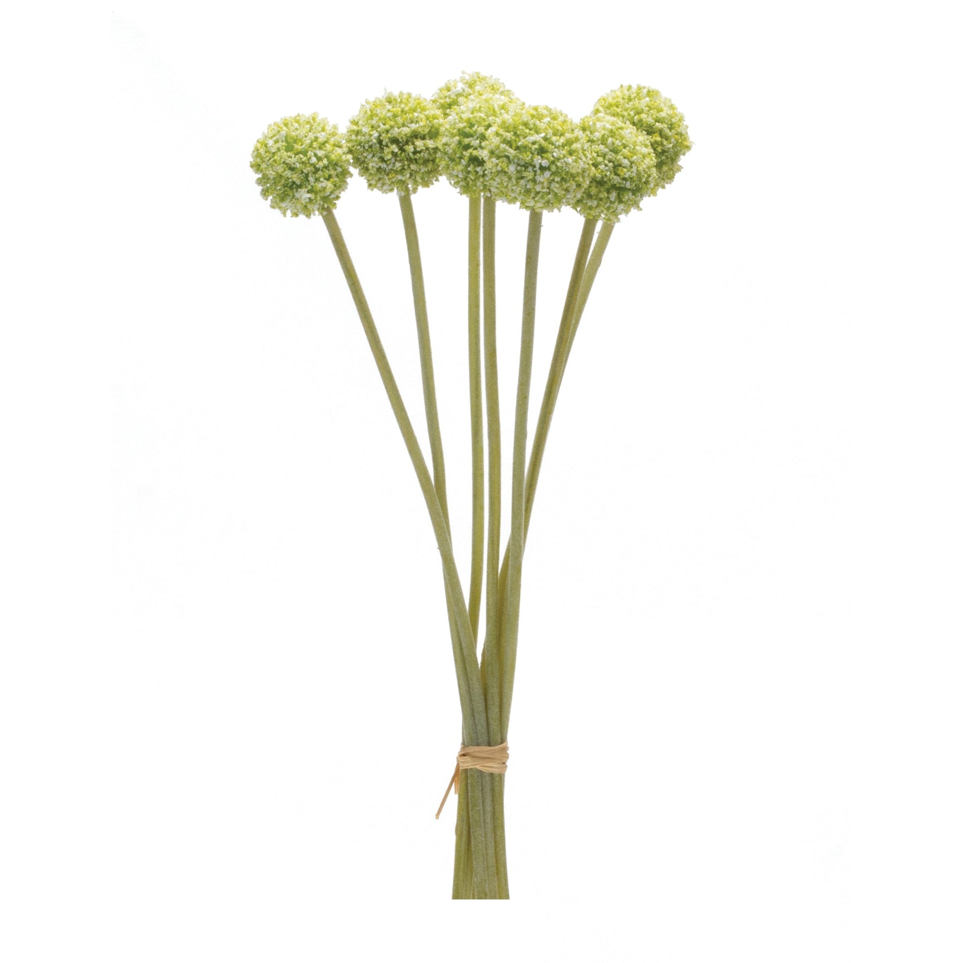 Pod-Bundle-(Set-of-6)-Artificial-Non-Flowering-Plants