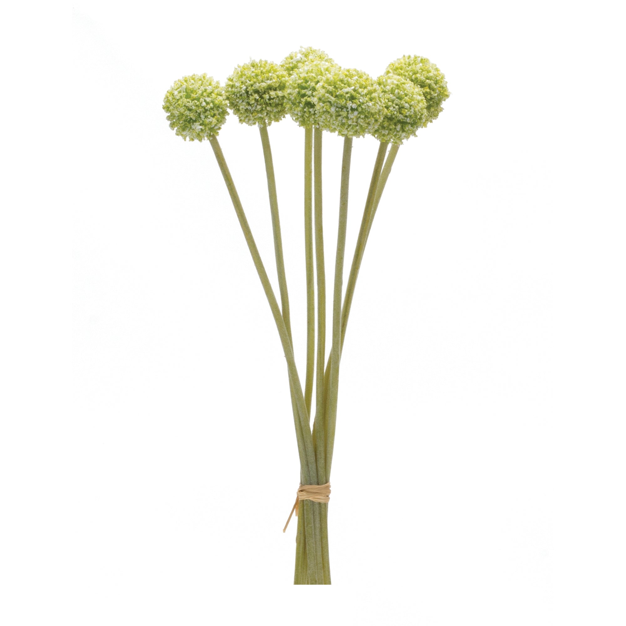 Pod-Bundle-(Set-of-6)-Artificial-Non-Flowering-Plants