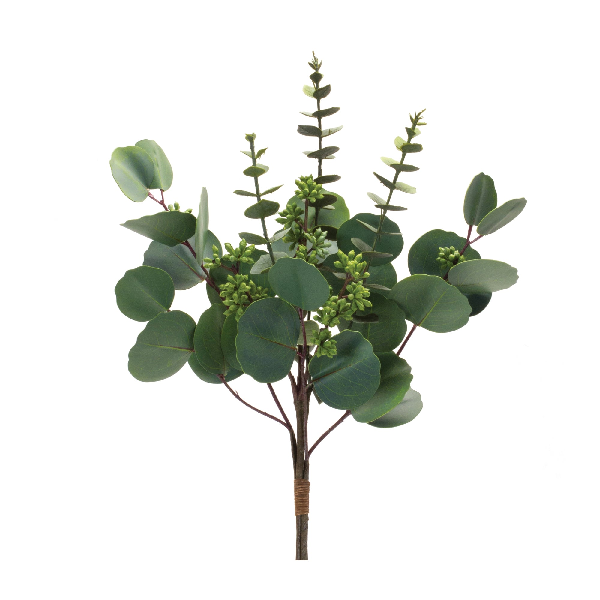 Mixed-Eucalyptus-Bundle-(Set-of-6)-Artificial-Flowering-Plants
