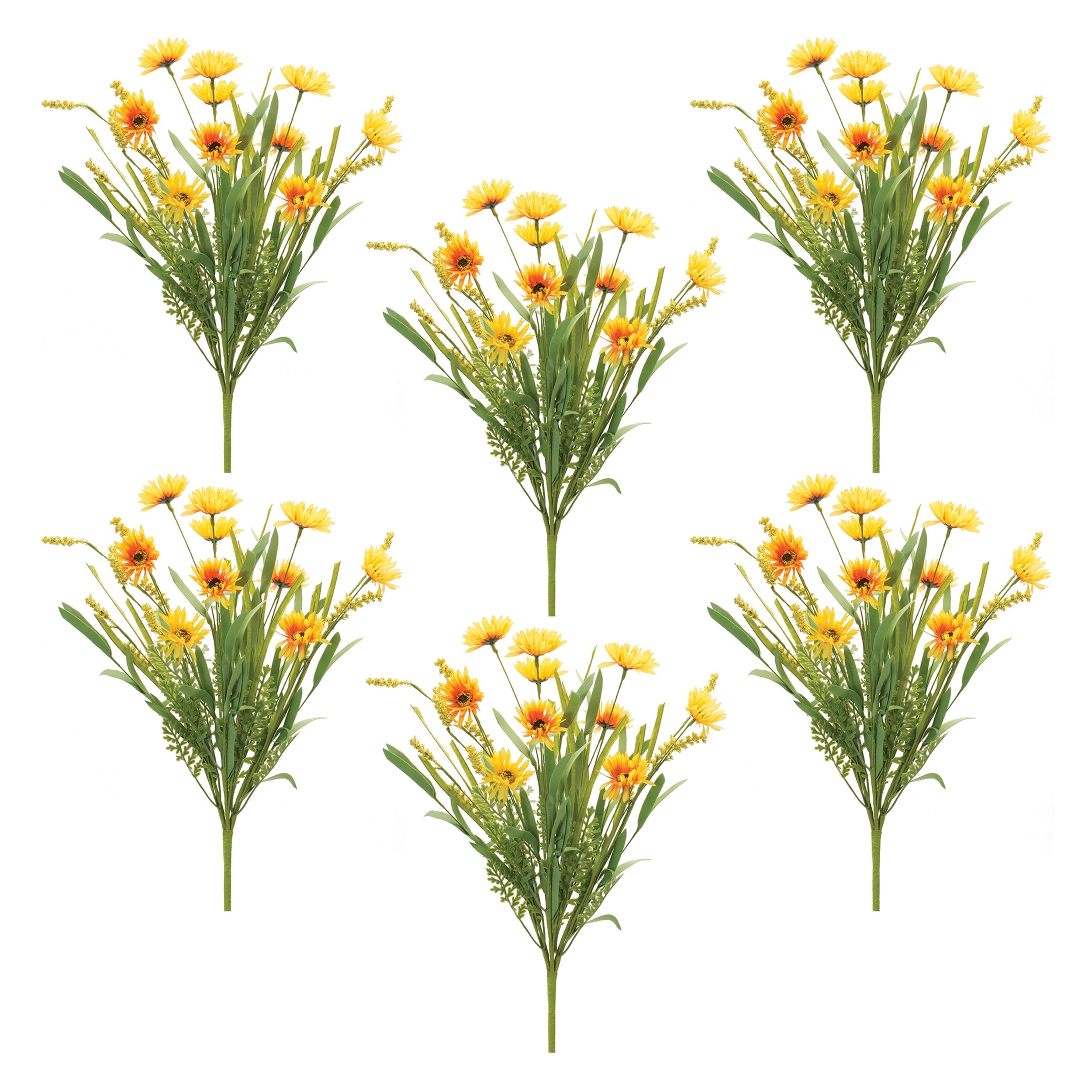 Mixed daisy bush (set of 6)