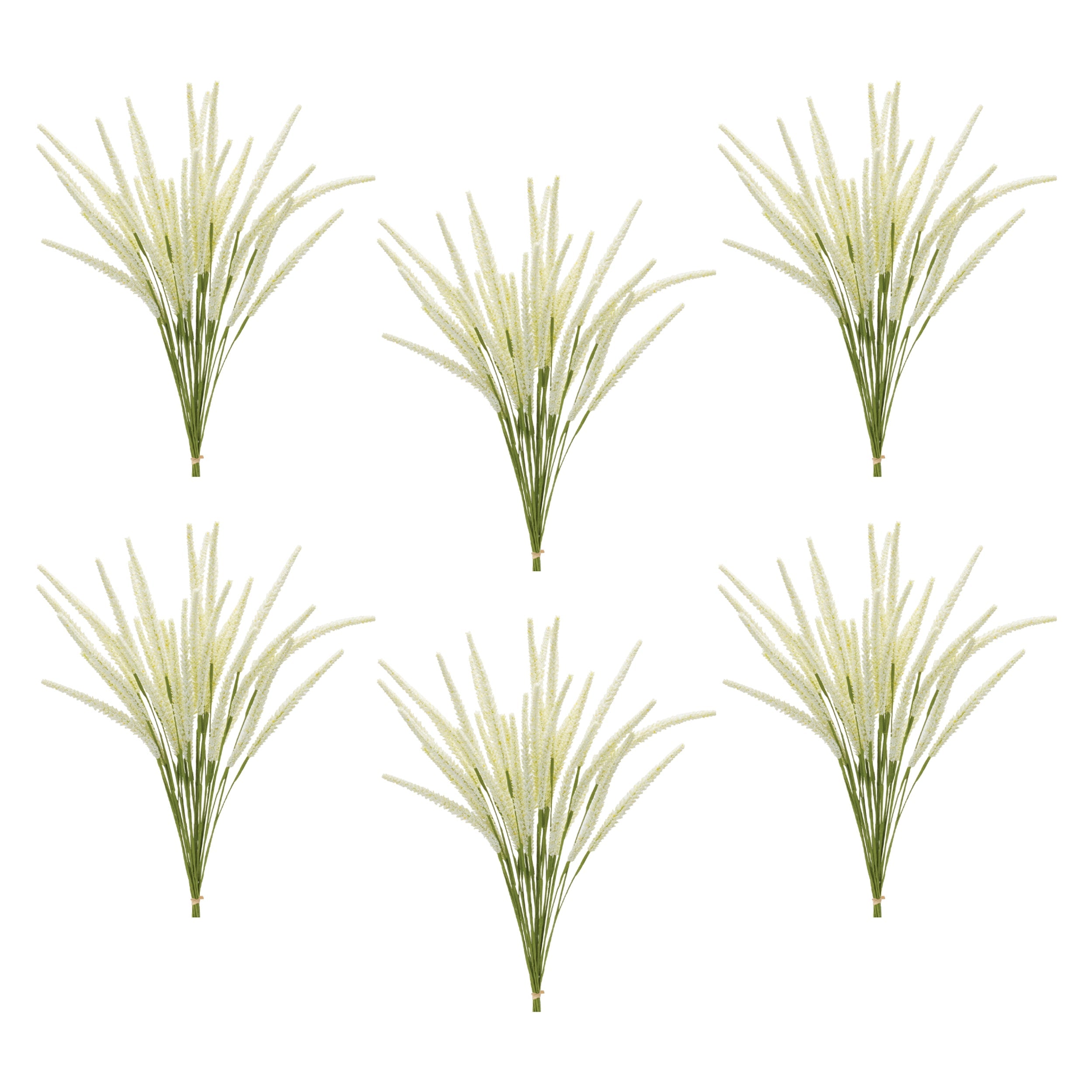 Foxtail Bundle (Set of 6)