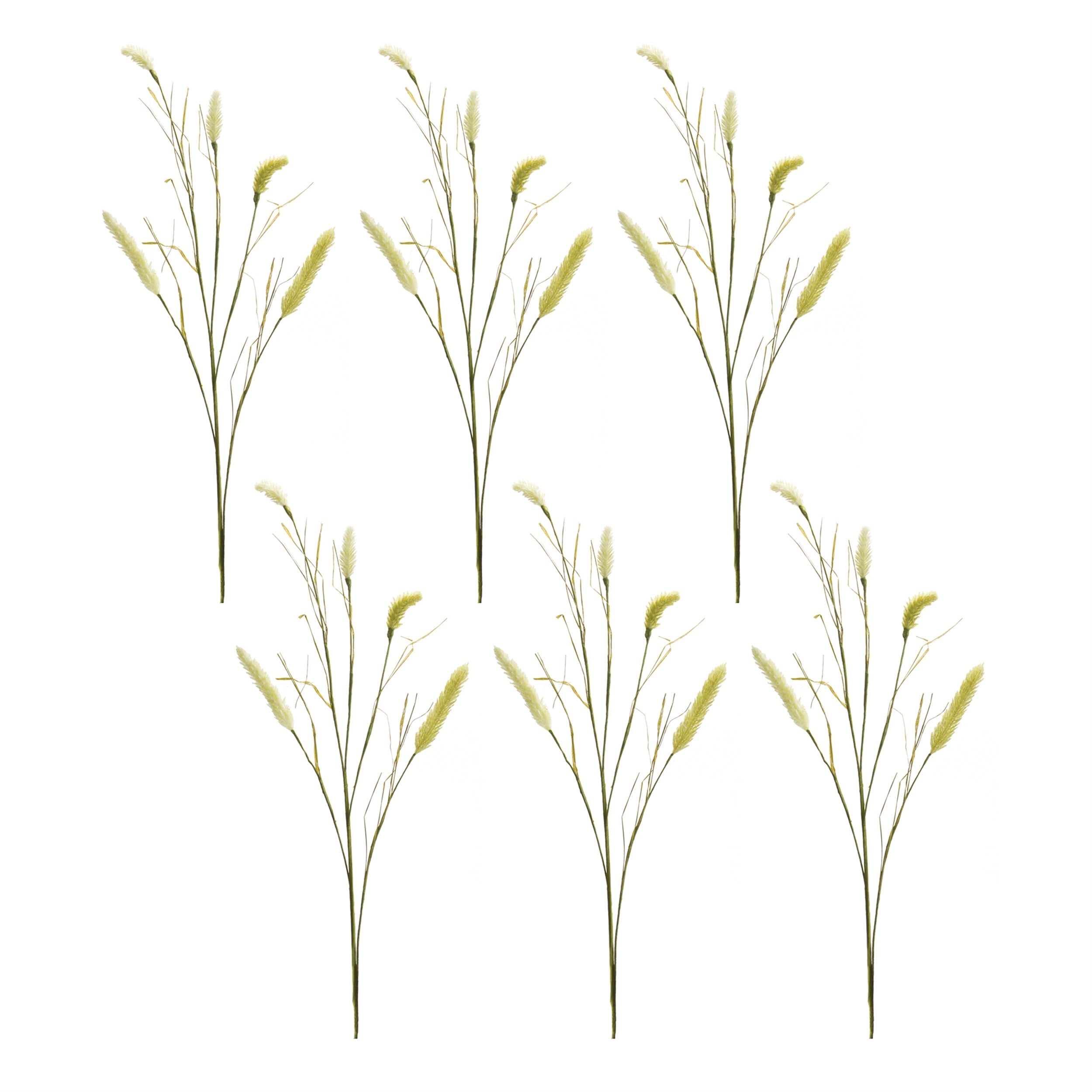 Foxtail Spray (Set of 6)