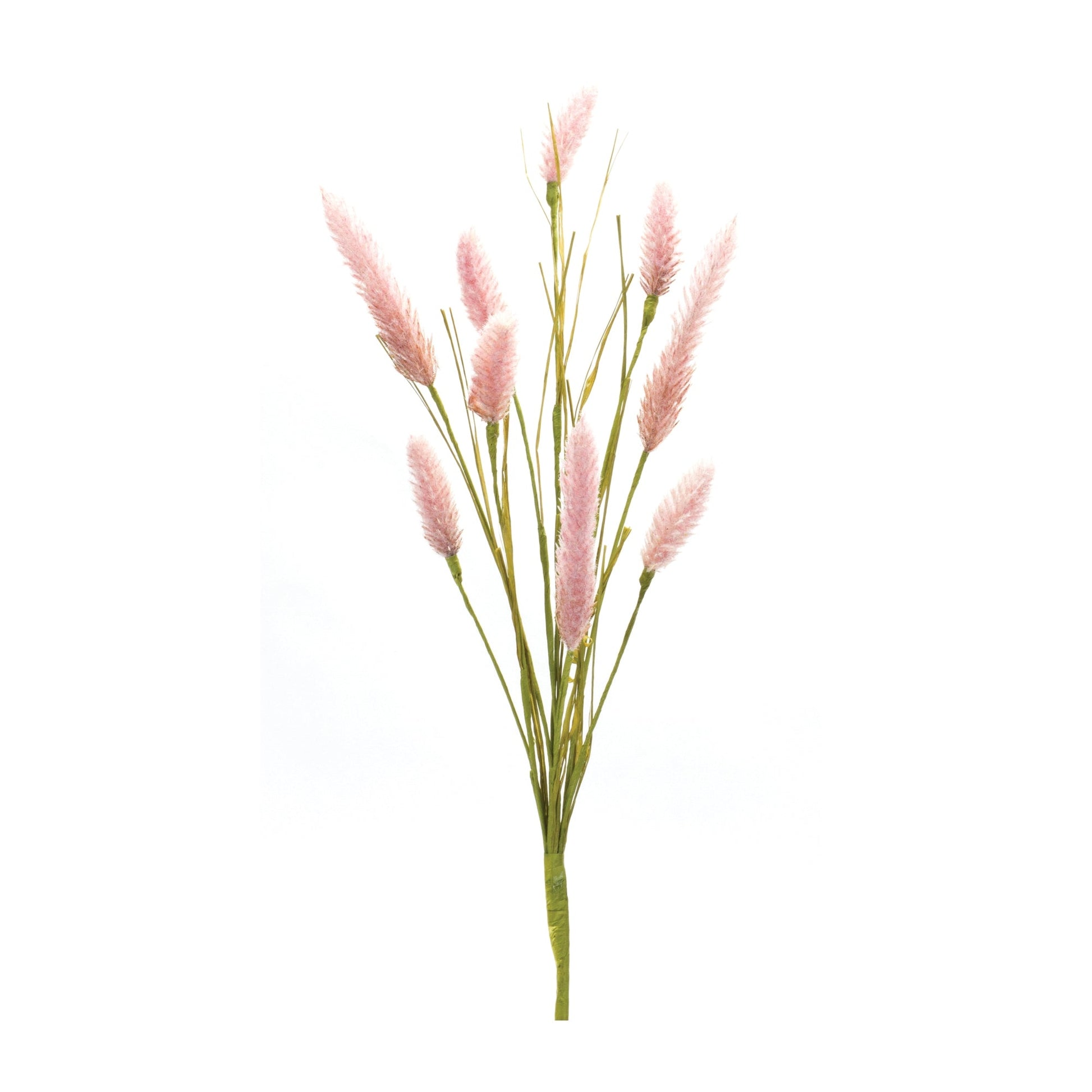 Foxtail-Spray-(Set-of-6)-Artificial-Flowering-Plants