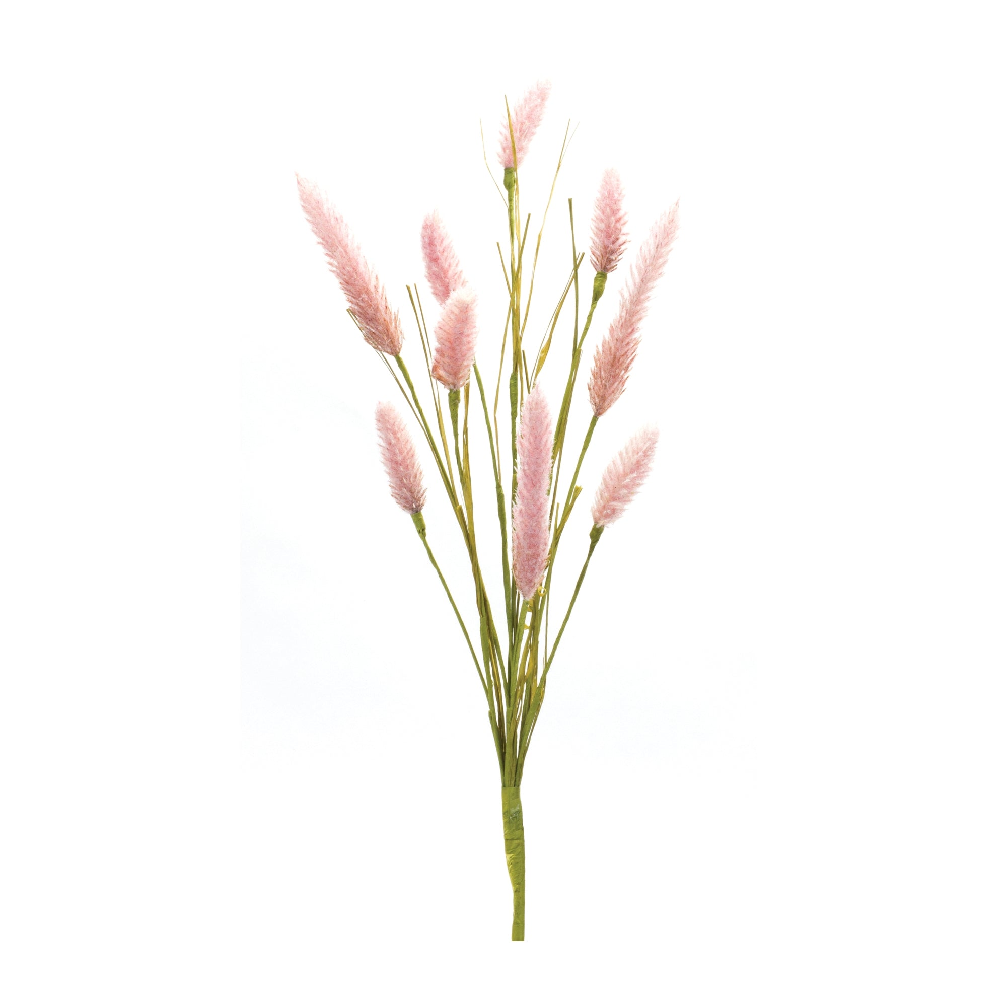 Foxtail-Spray-(Set-of-6)-Artificial-Flowering-Plants