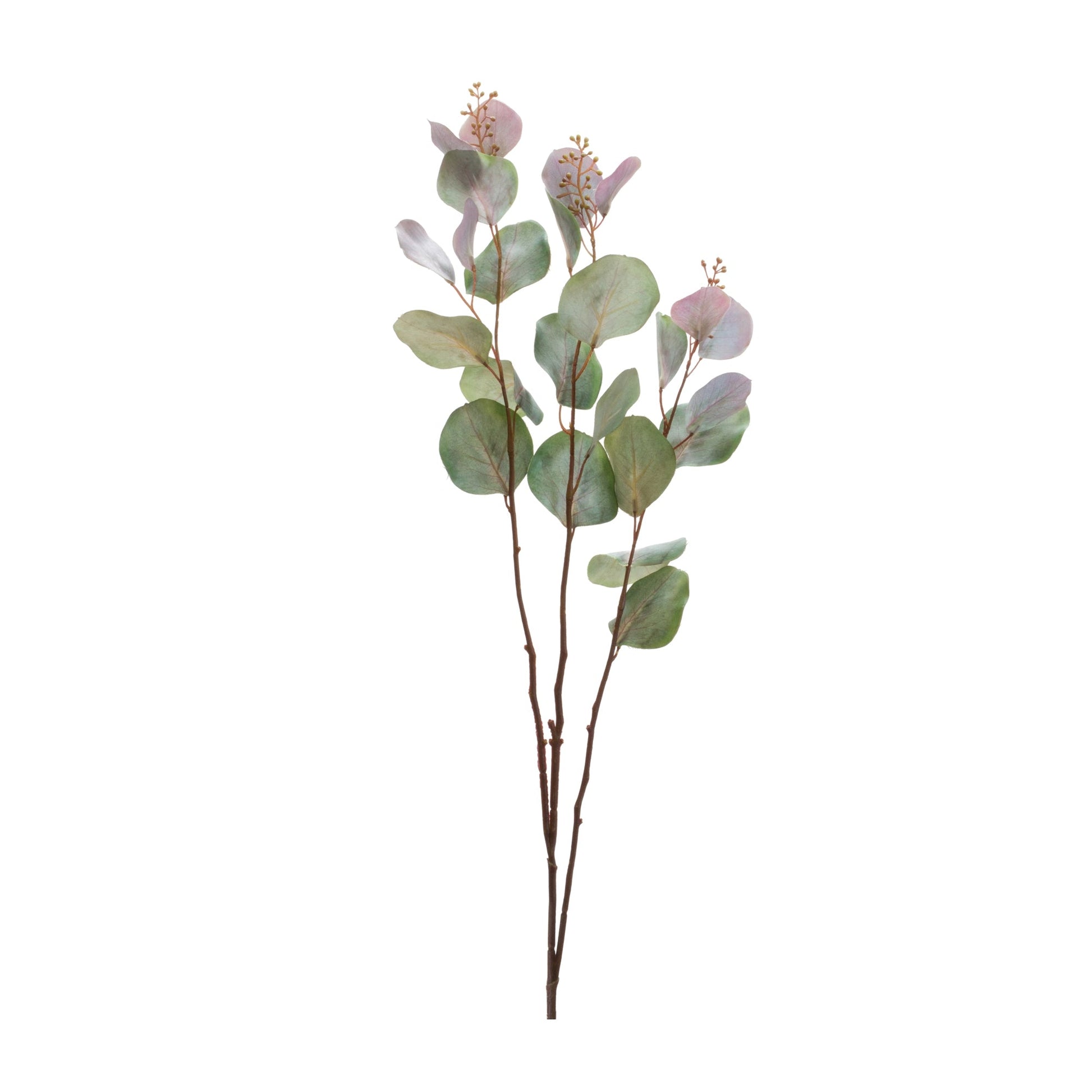 Seeded-Eucalyptus-Stem-(Set-of-6)-Artificial-Flowering-Plants
