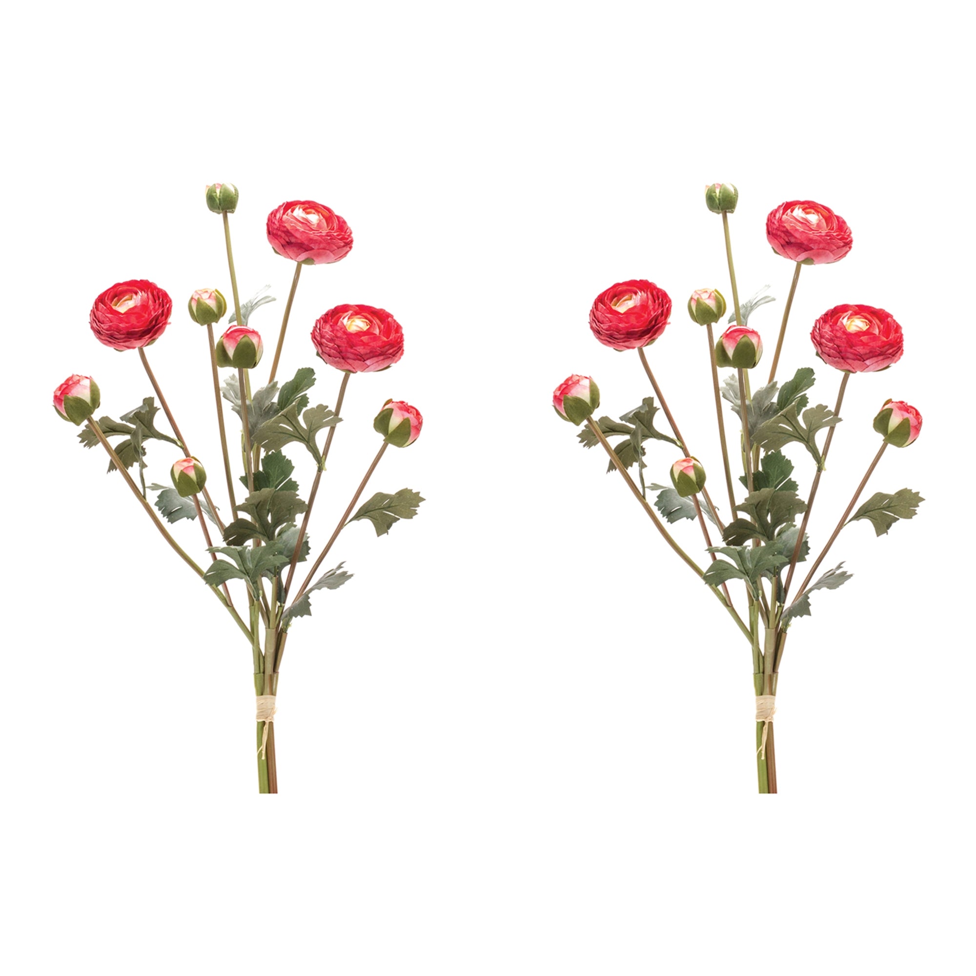 Red Ranunculus Bundle (Set of 2)