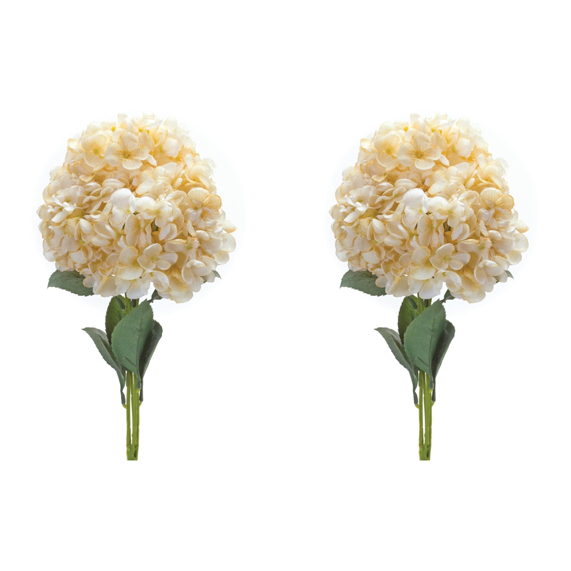 Hydrangea Bush (Set of 2)