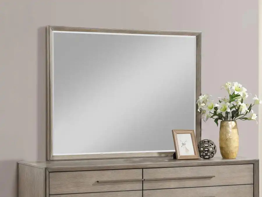 Durango - Dresser Mirror