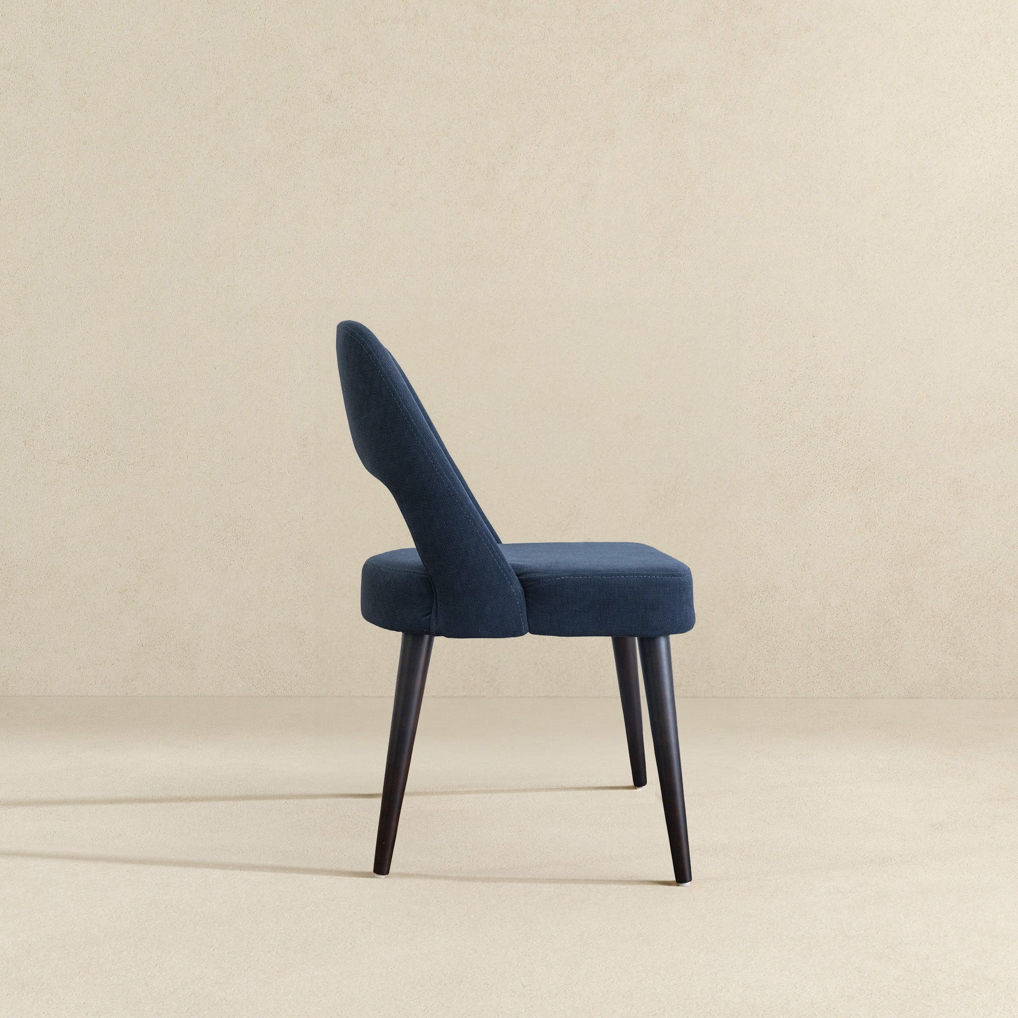Juliana - Mid-Century Modern Dining Chair (Set of 2)