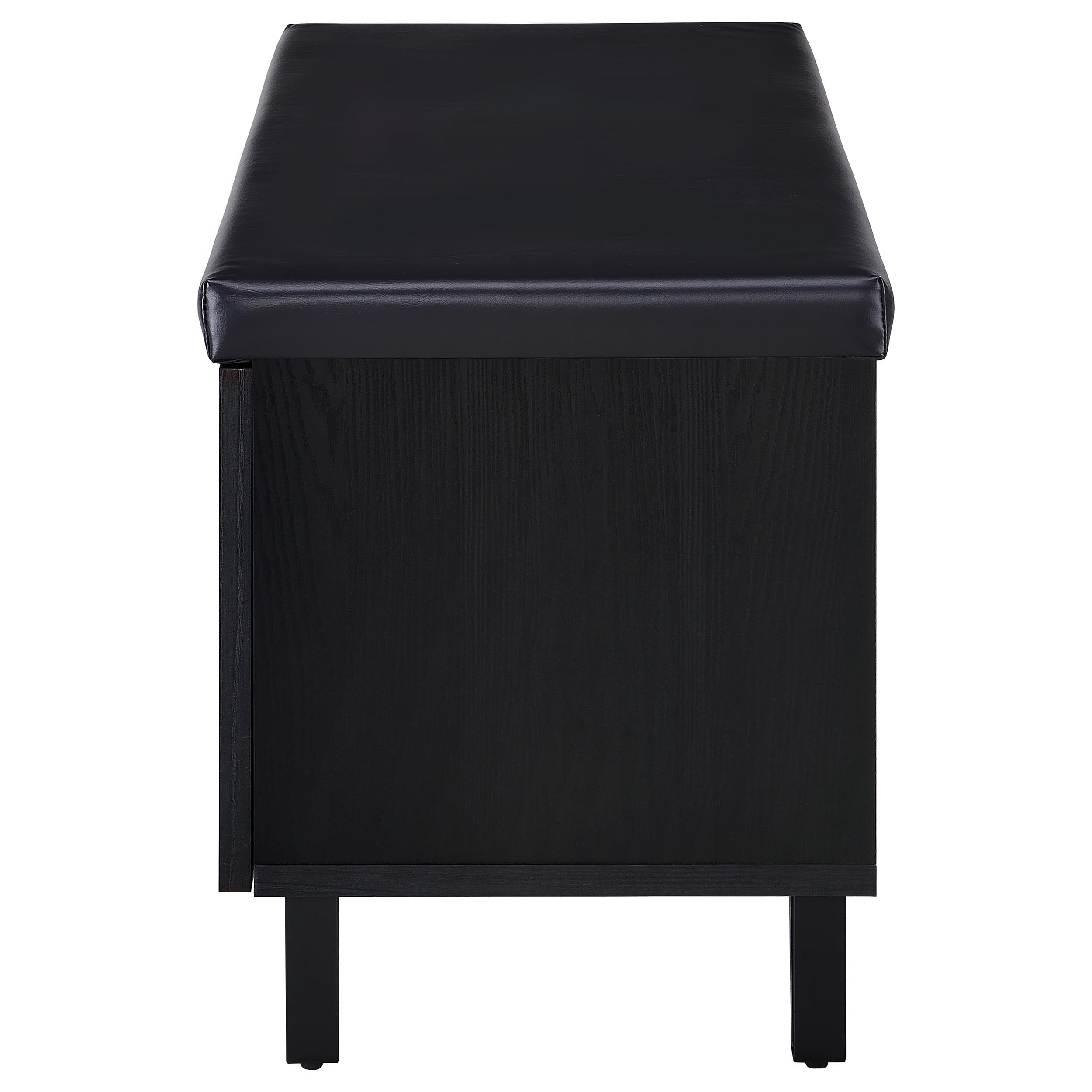 Brixton 2-door Padded Entryway Shoe Storage Bench Black-