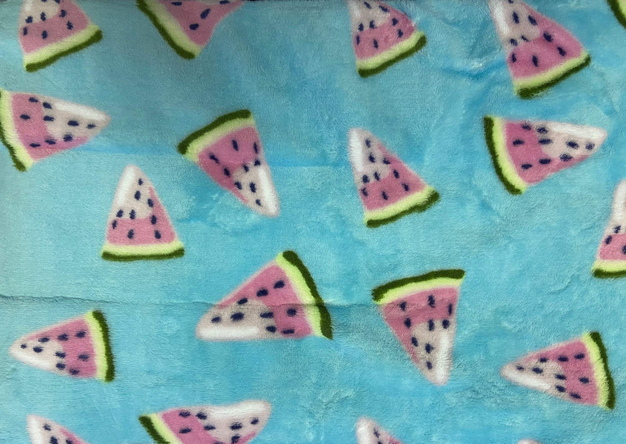 Summertime Whimsy Plush Fleece Throw Blanket (50" x 60") - Watermelon Slices - Best Buy Furniture
