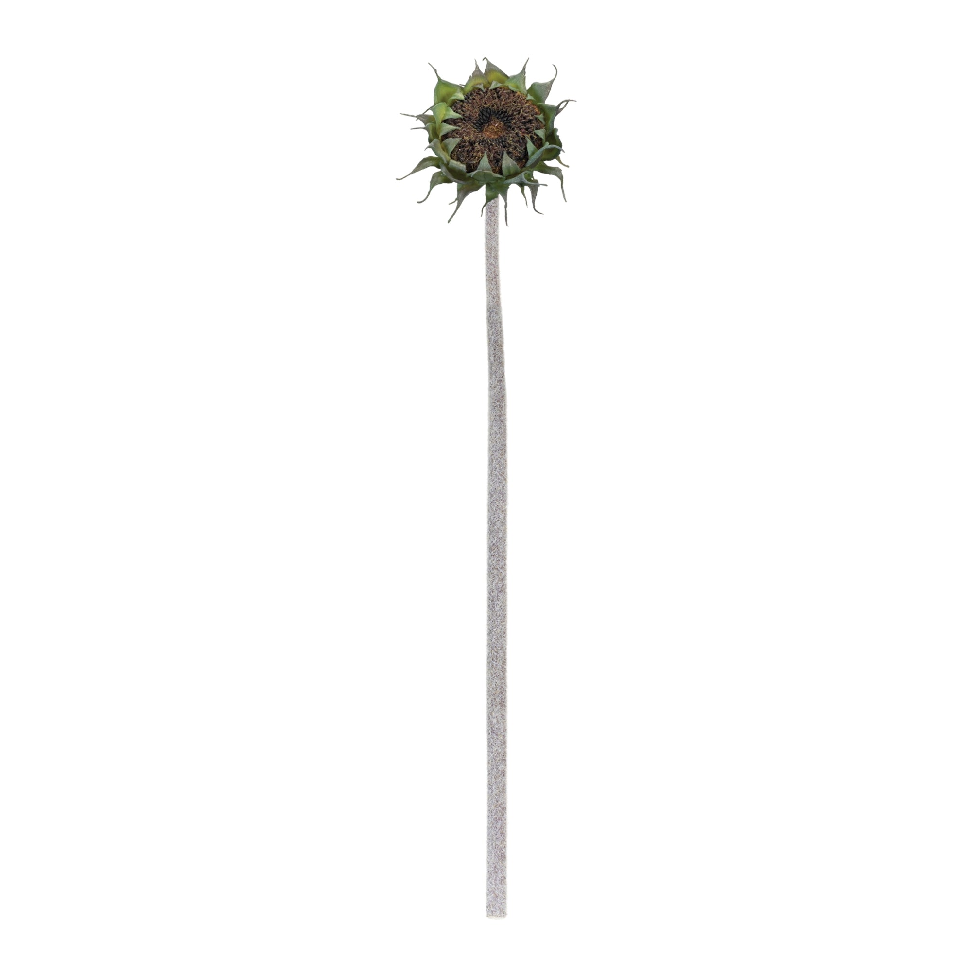 Brown Sunflower Stem (Set of 6)
