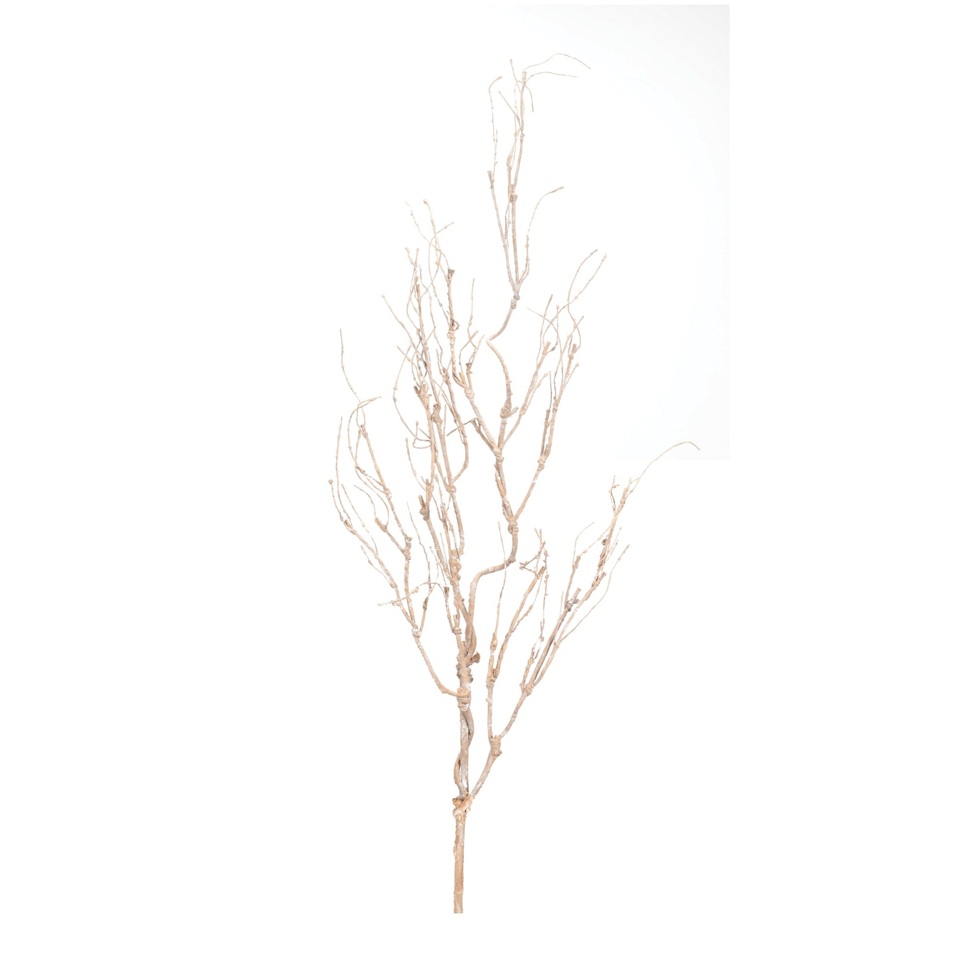 Beige-twig-branch-(set-of-6)-Artificial-Flowering-Plants