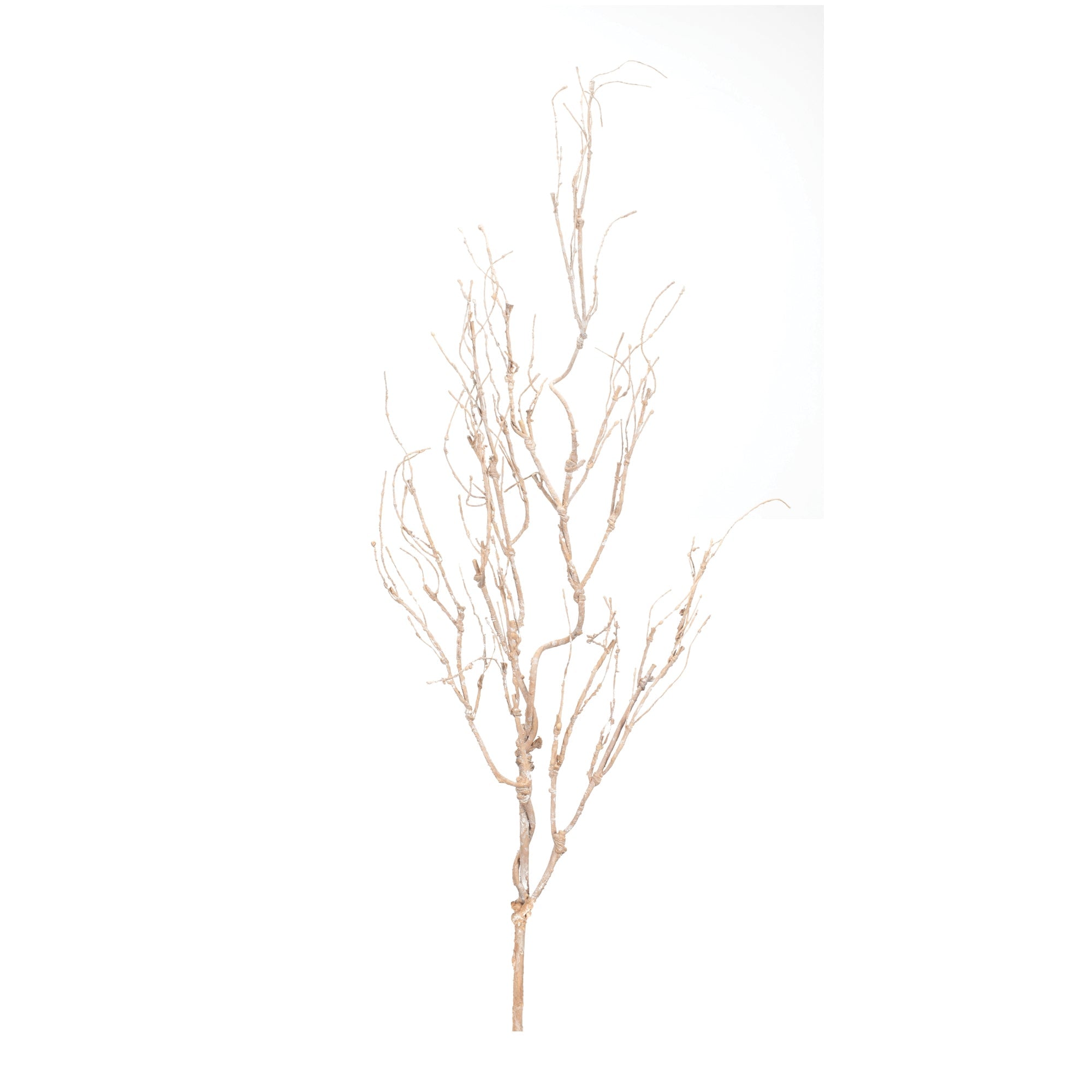 Beige-twig-branch-(set-of-6)-Artificial-Flowering-Plants