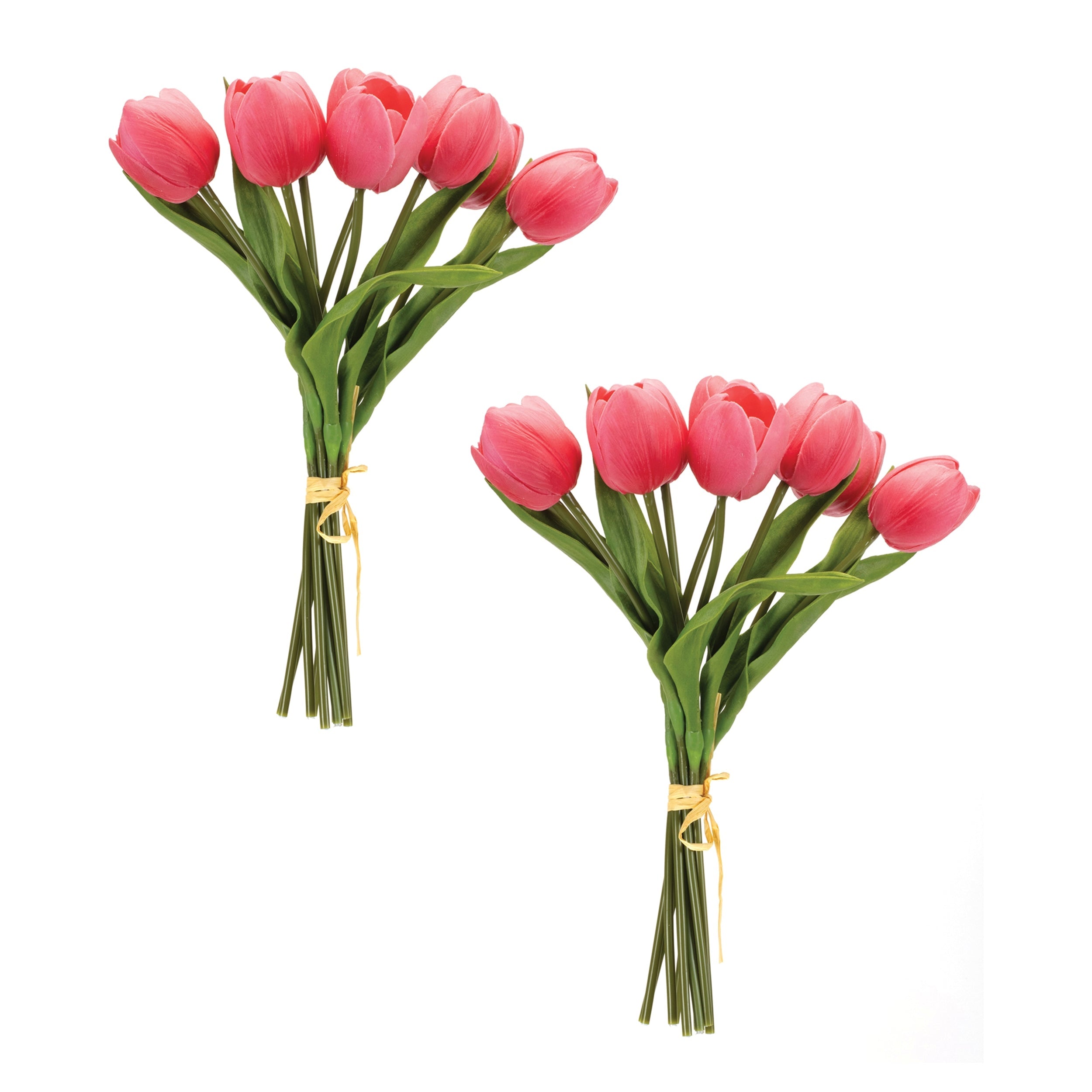 Tulip Floral Bundle (Set of 2)