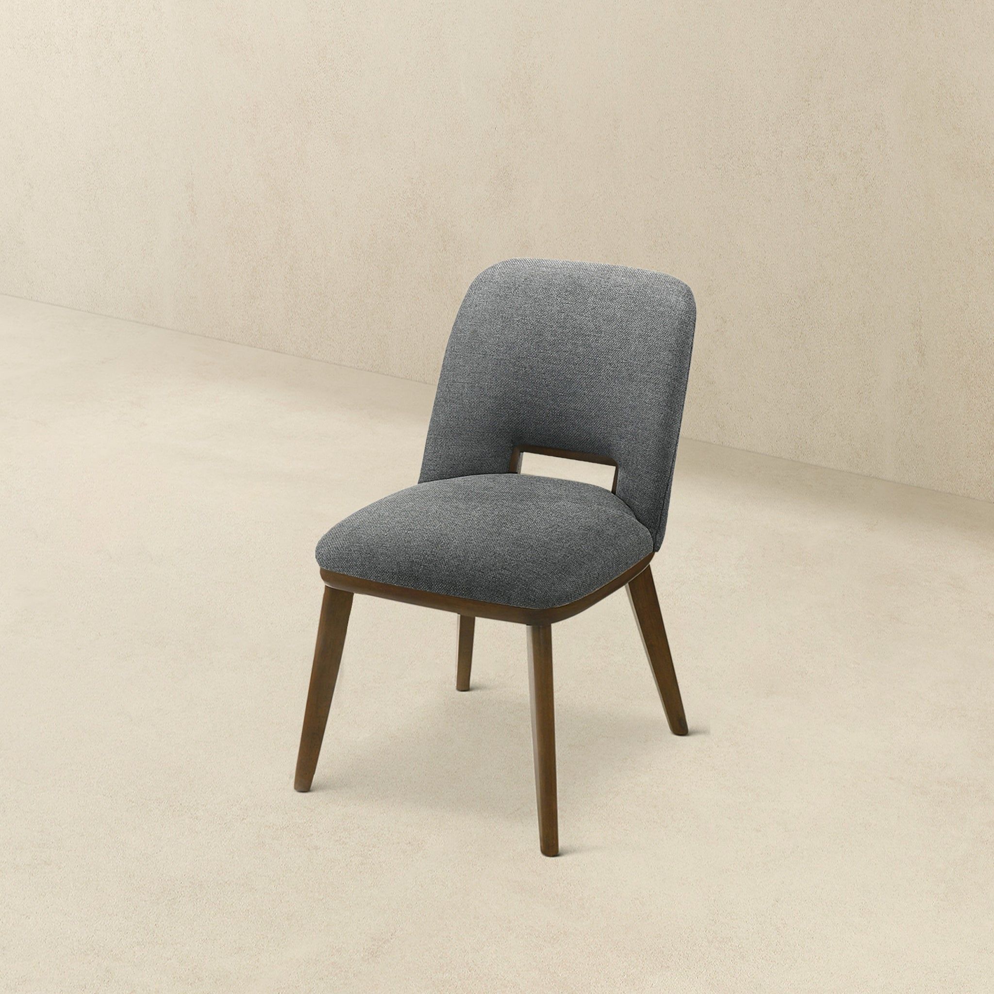 Blake - Modern Dining Chair (Set of 2)