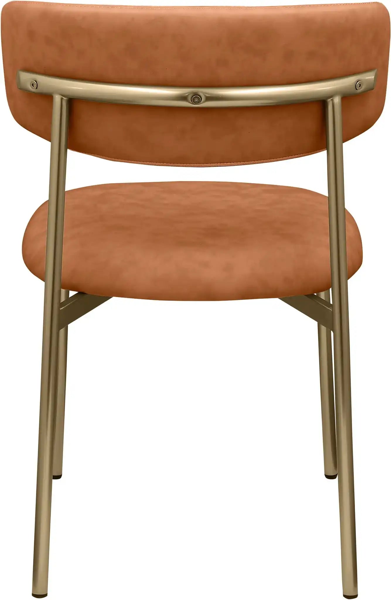 Lupita - Dining Chair With Brushed Gold Legs (Set of 2)