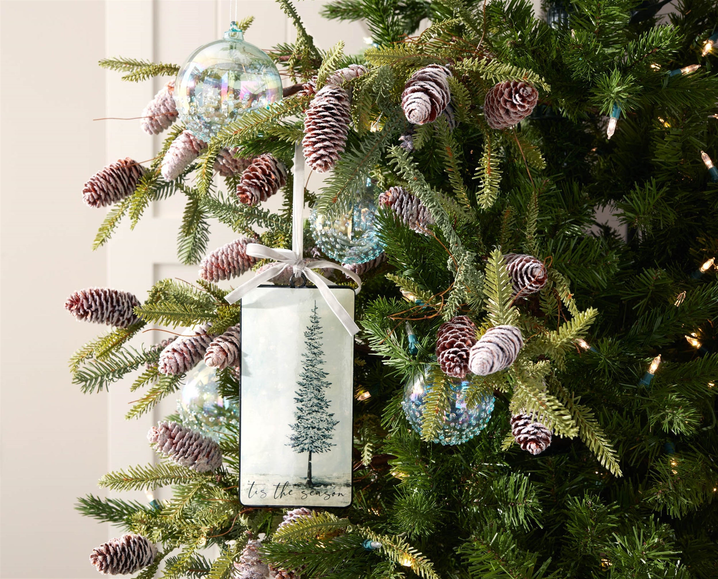 Tis the Season Pine Tree Ornament (Set of 12)
