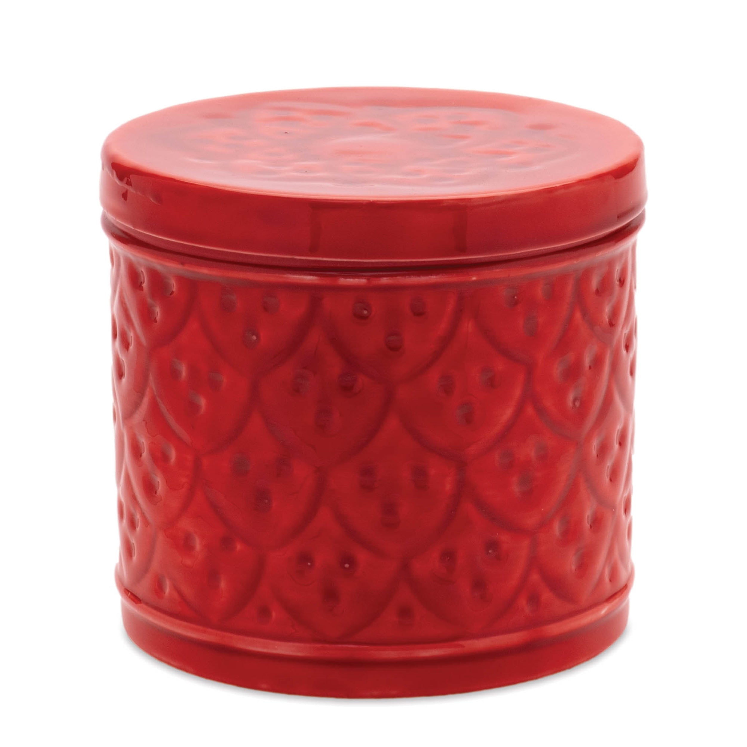 Red Metal Container with Lid (Set of 2)