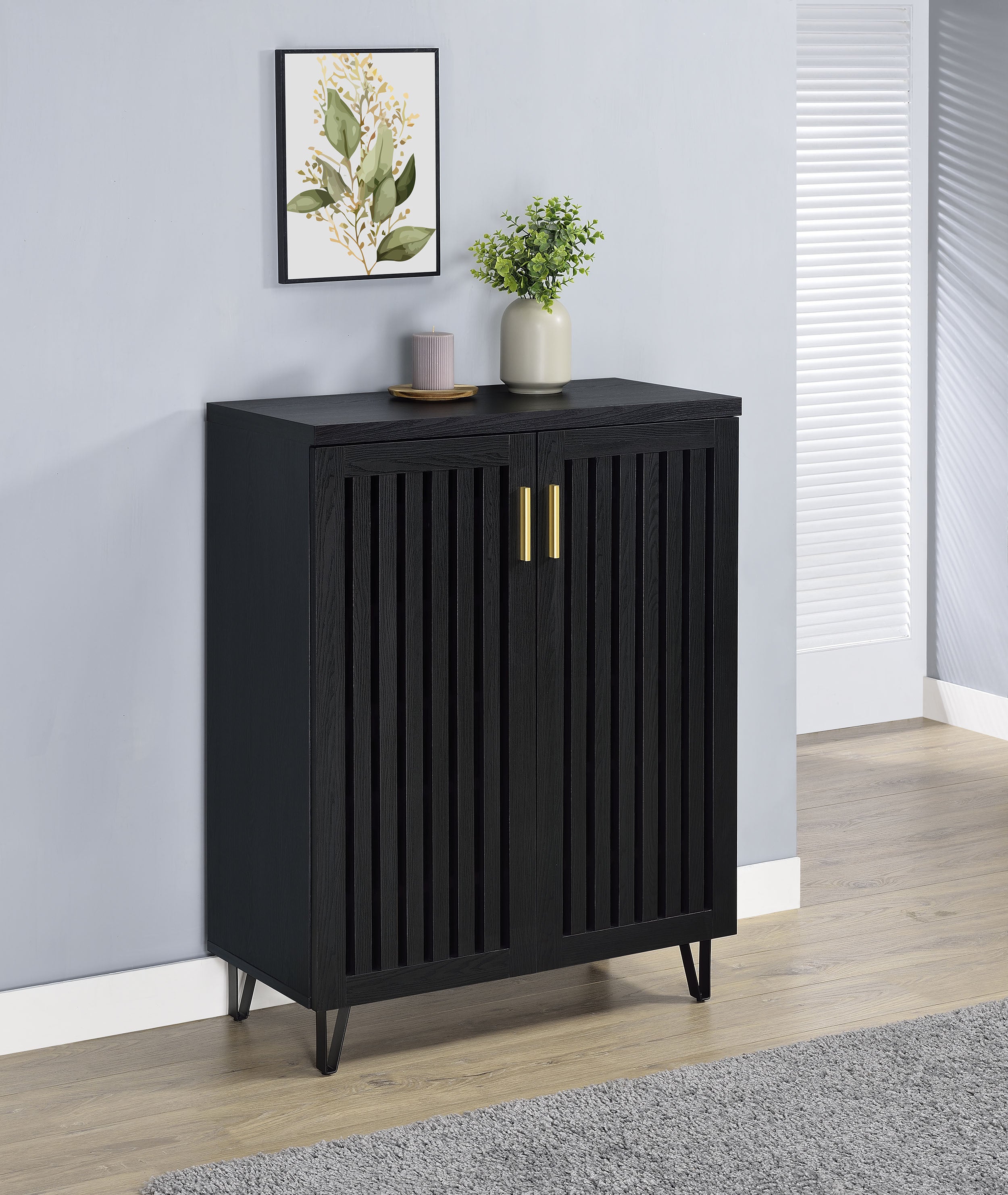 Brixton 2-door Entryway Shoe Storage Cabinets Black-