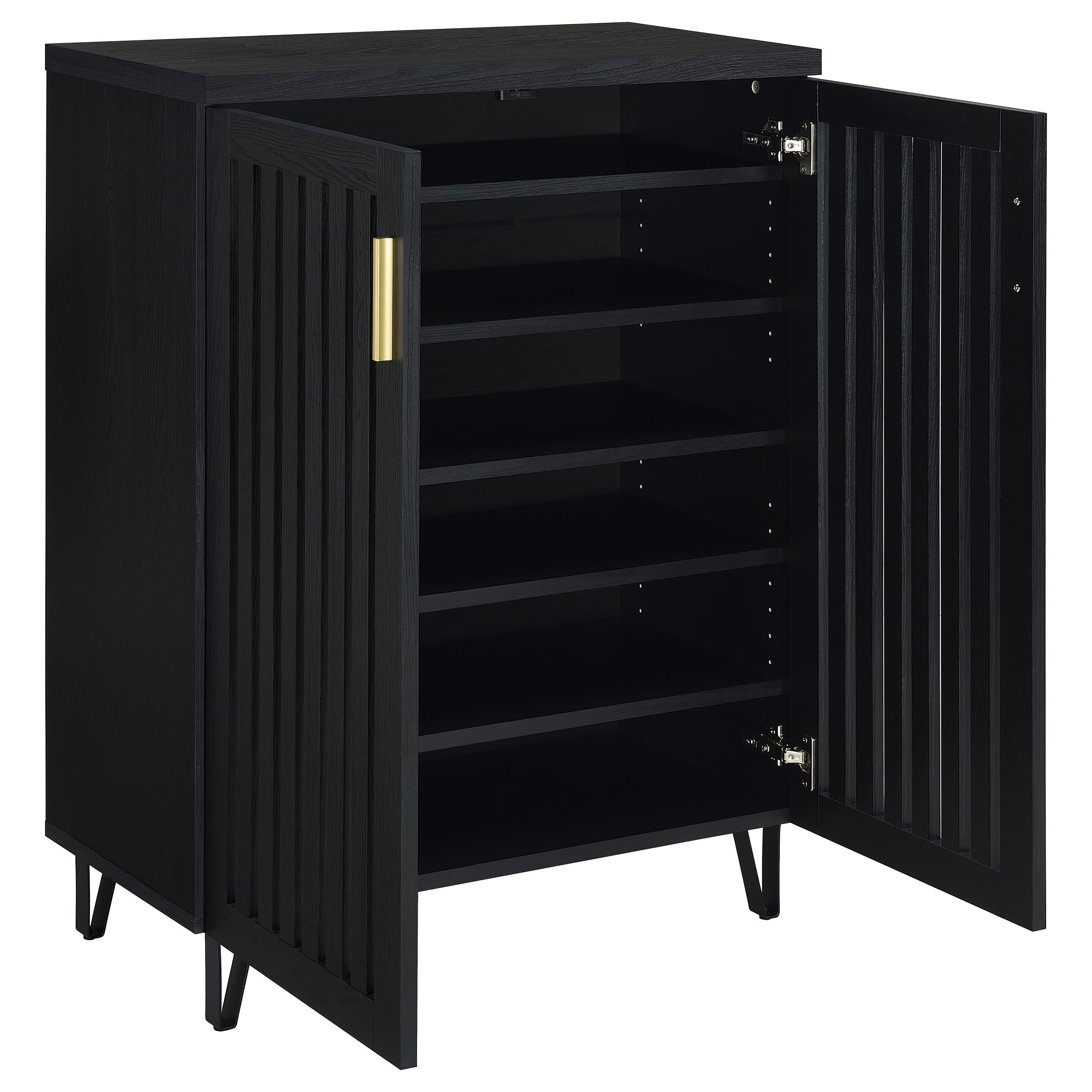Brixton 2-door Entryway Shoe Storage Cabinets Black-