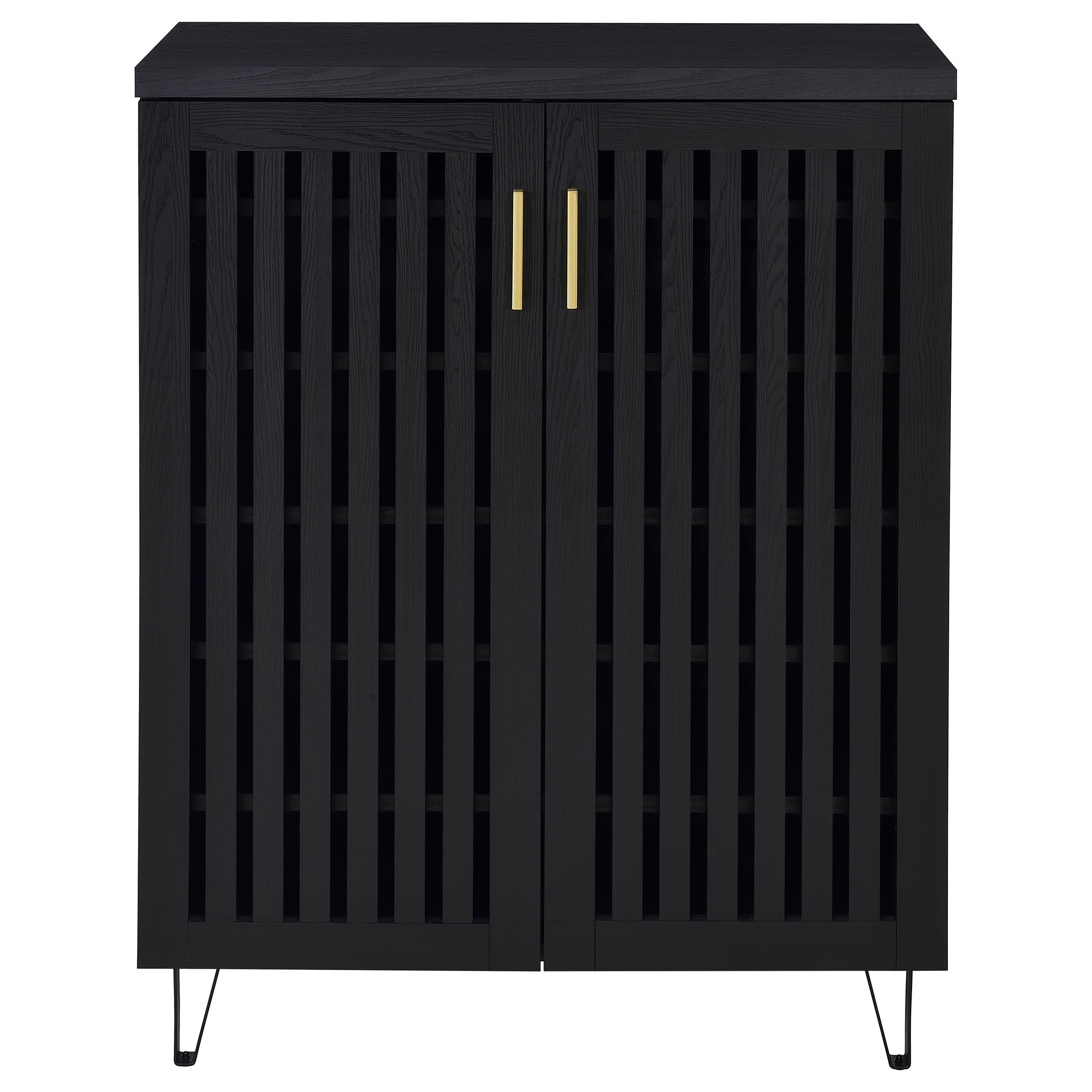 Brixton 2-door Entryway Shoe Storage Cabinets Black-