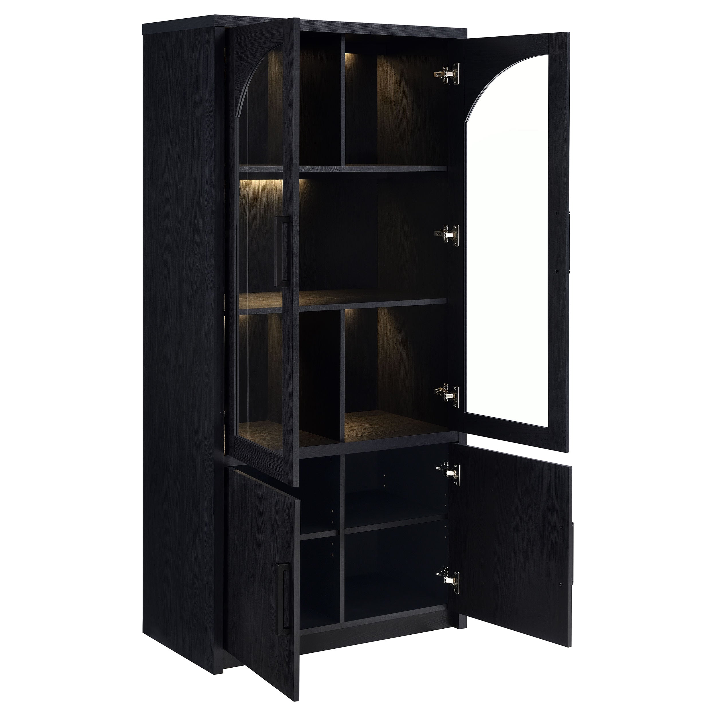Riva 4-door Tall Accent Display Cabinet LED Lighting Black-
