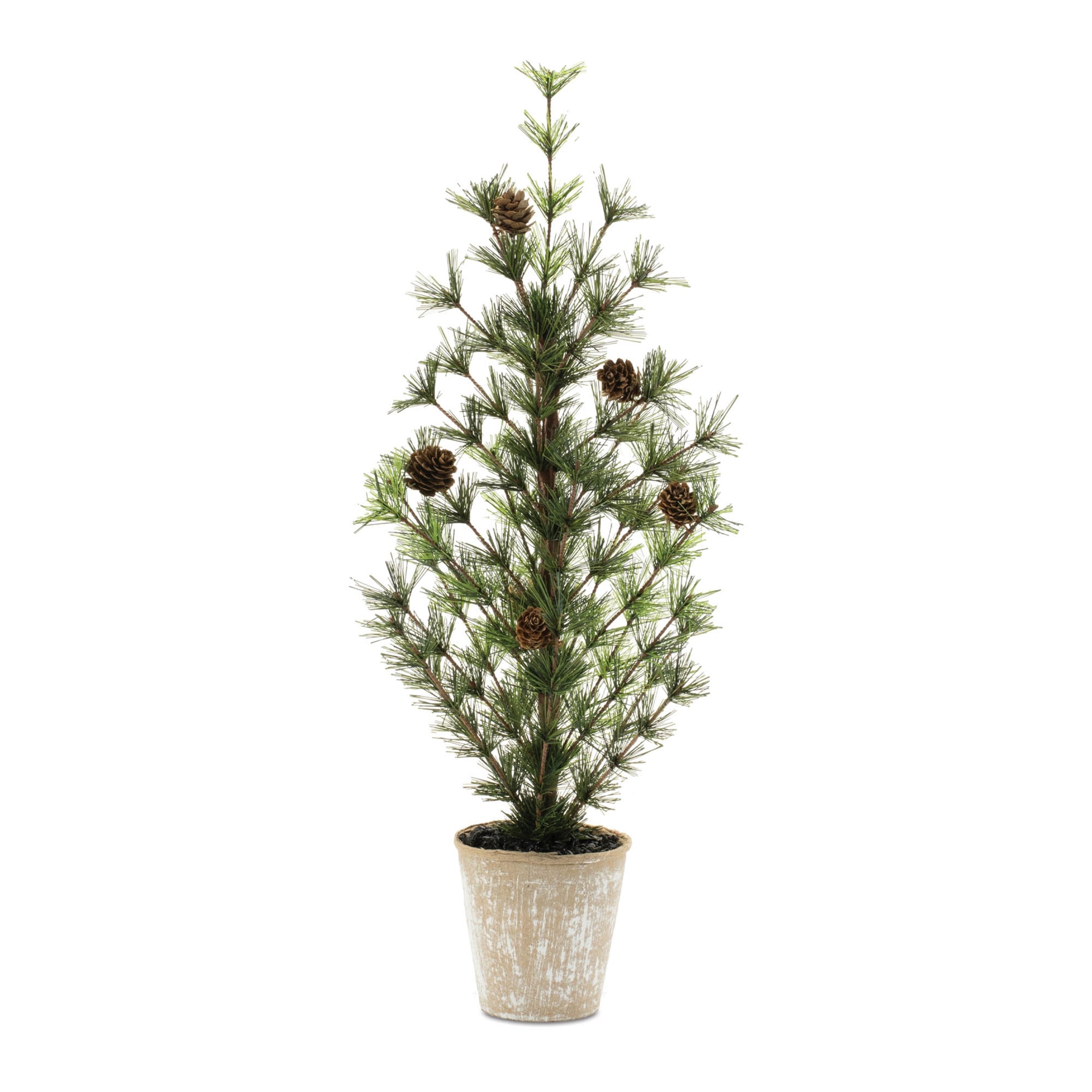 Potted Mini Pine Tree 24"H