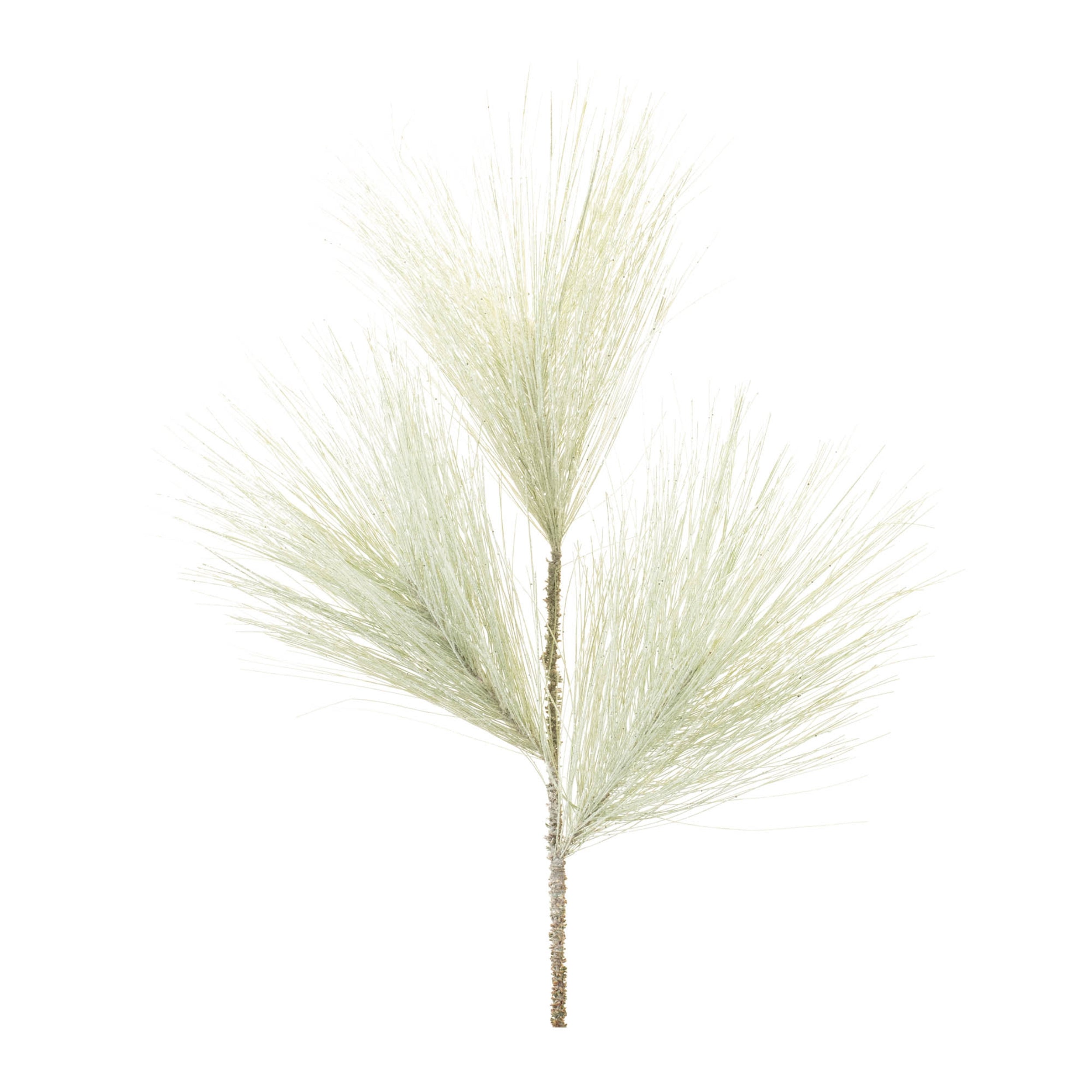 Long Needle Pine Spray (Set of 6)