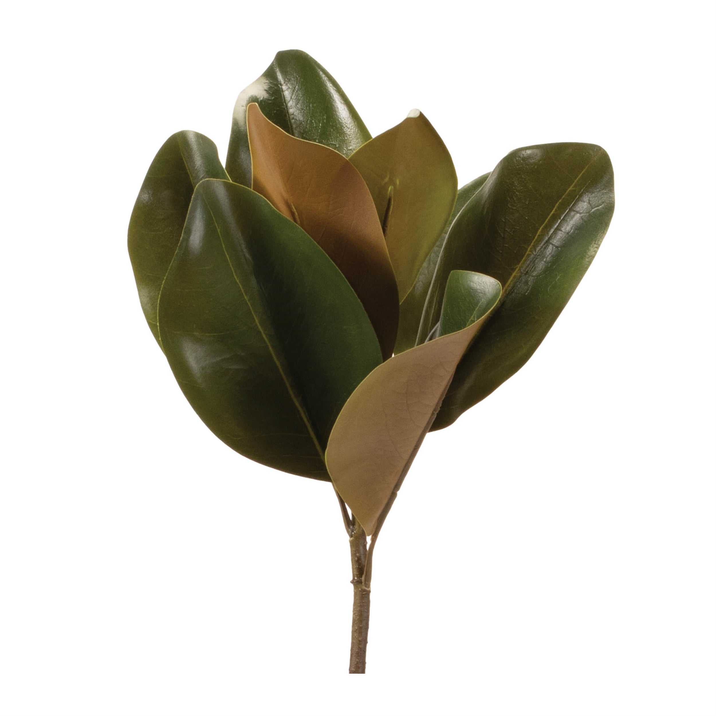 Magnolia-Leaf-Spray-(Set-of-6)-Artificial-Flowering-Plants