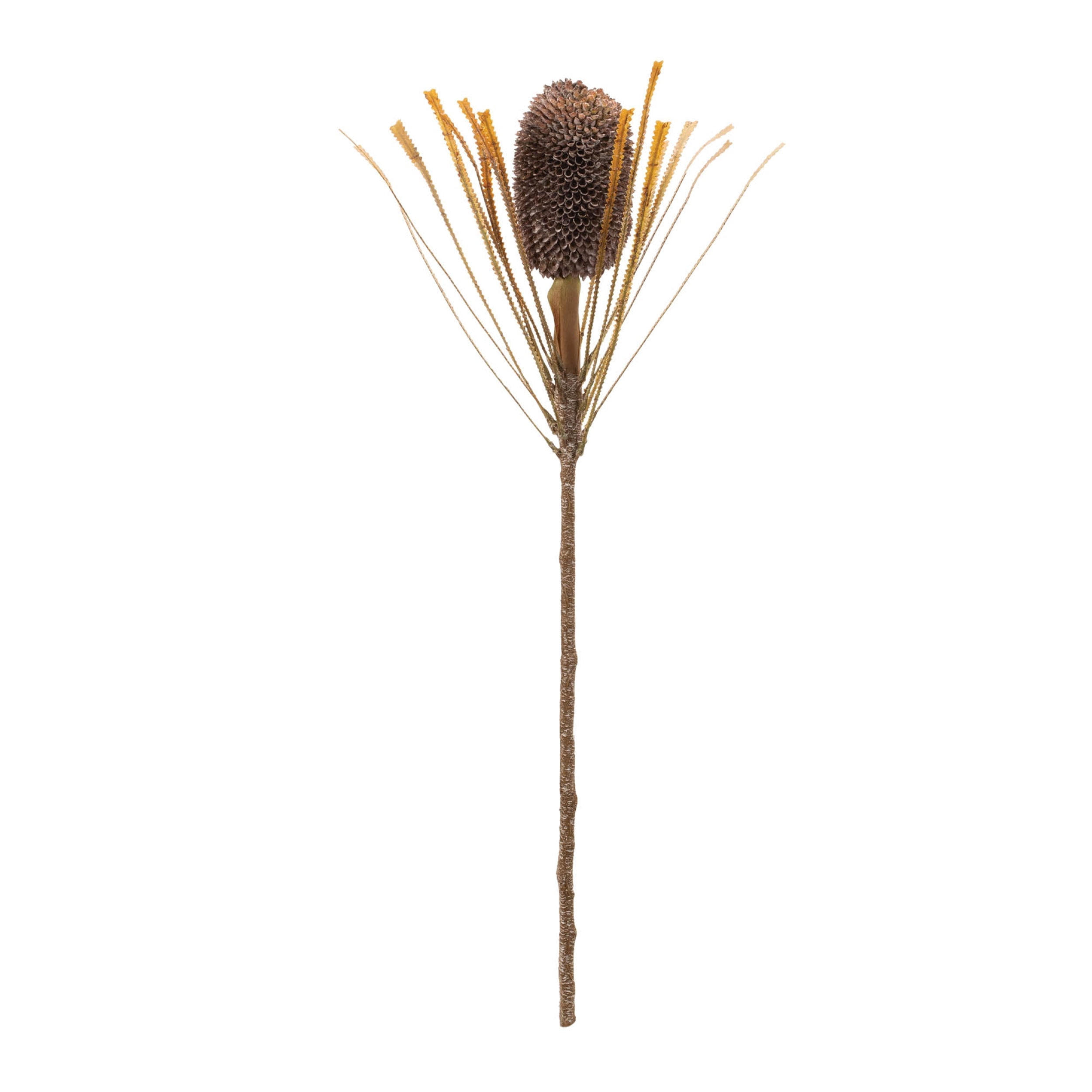 Fall Banksia Pod Stem (Set of 2)