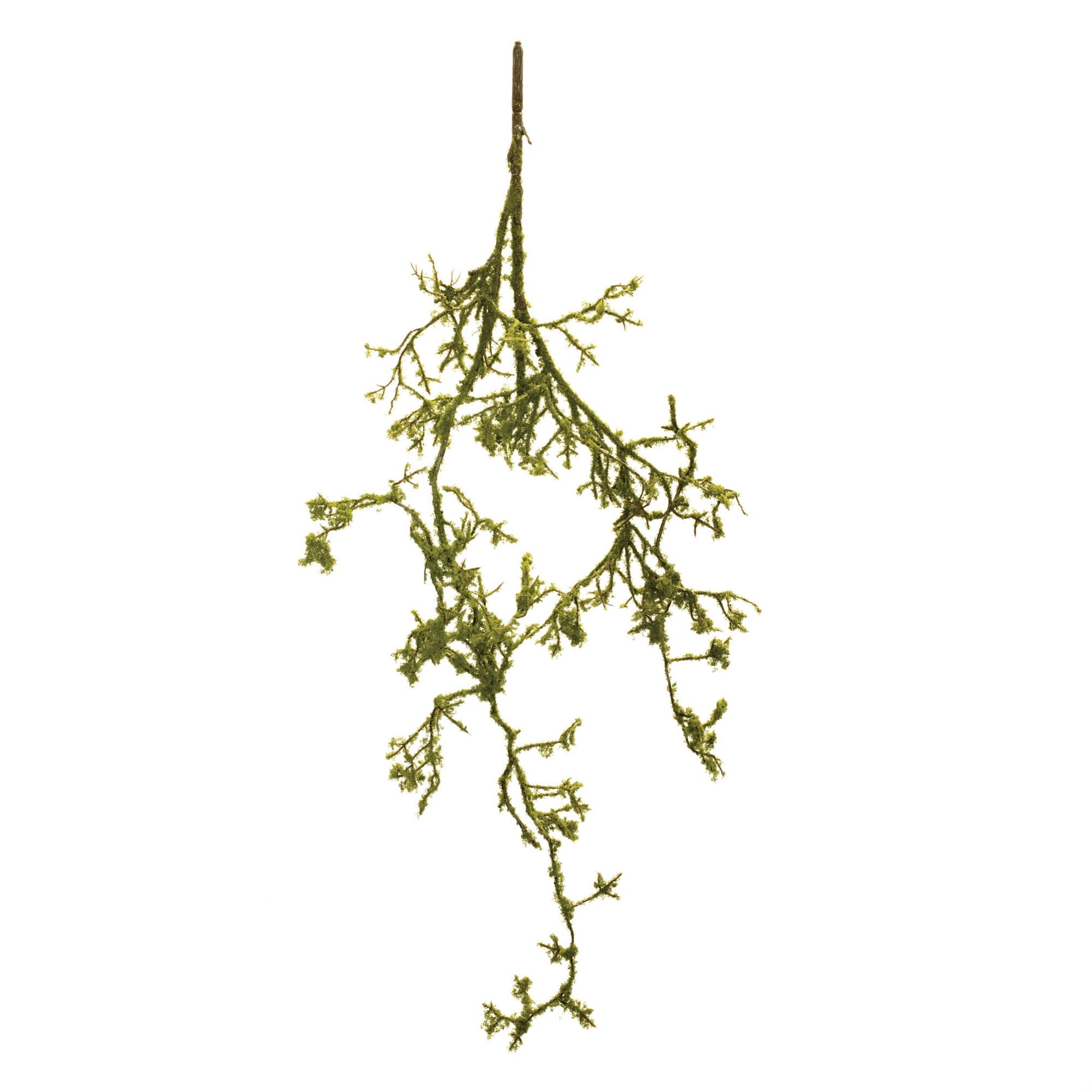 Mossy-Twig-Branch-Vine-(Set-of-6)-Artificial-Flowering-Plants