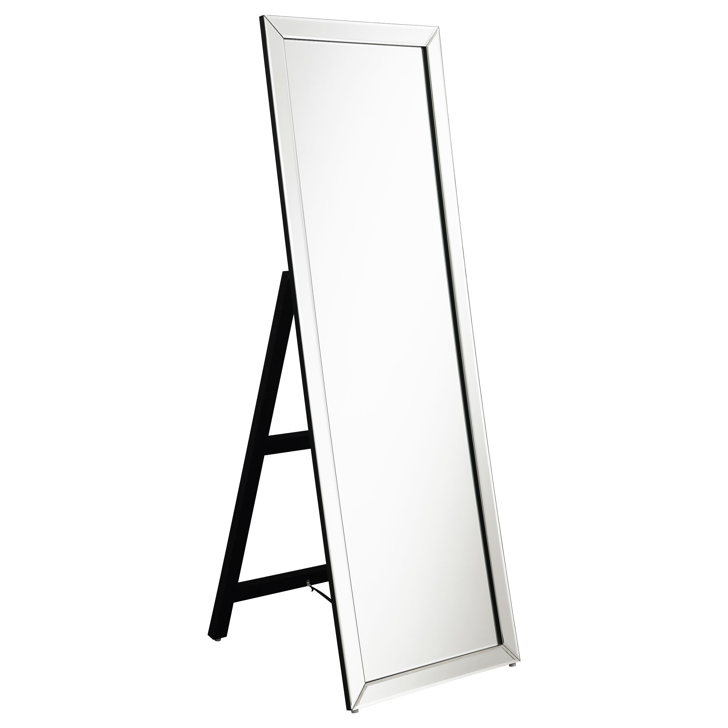 Soline 22 x 61 Inch Framed Standing Floor Mirror Silver-CoasterEveryday