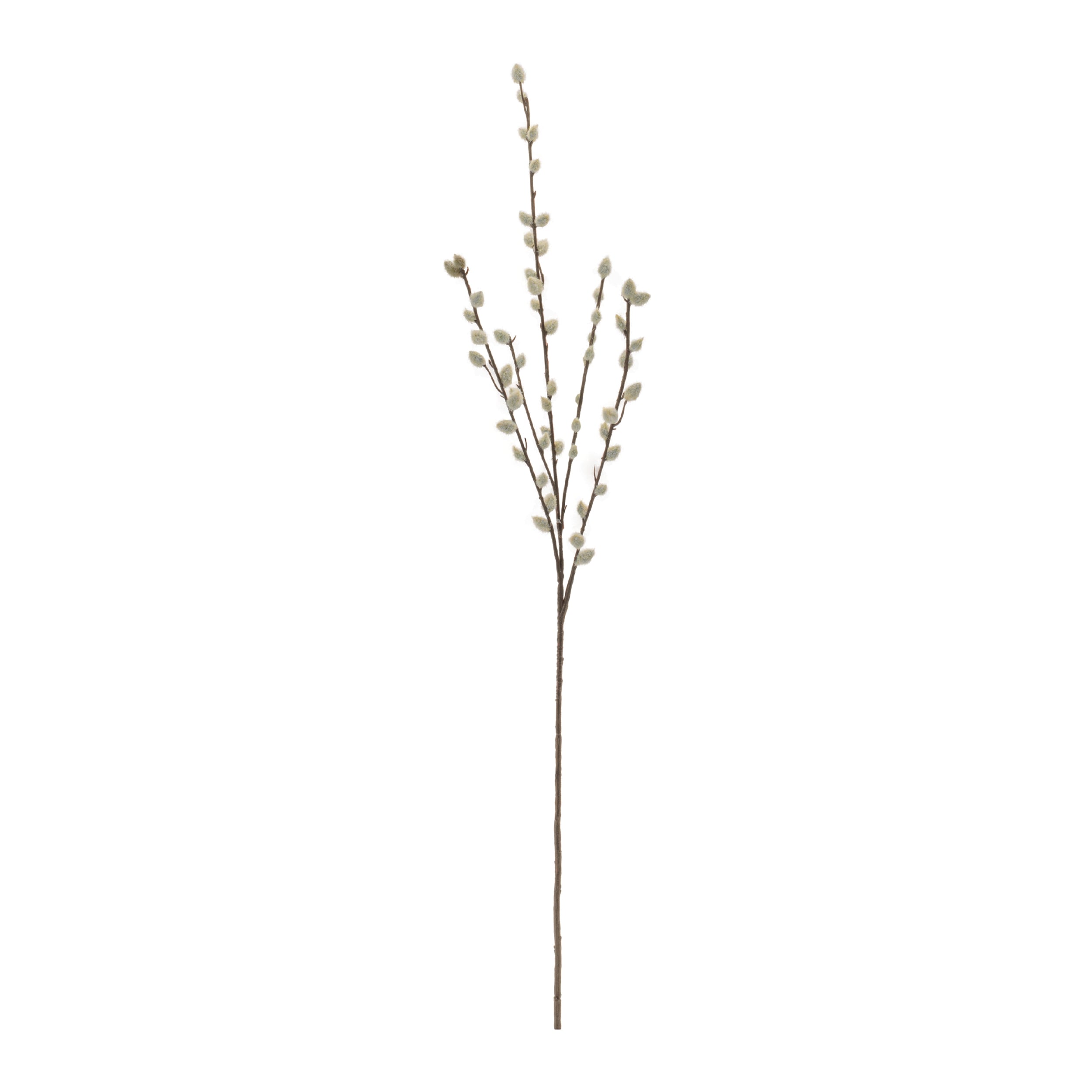 Pussy Willow Twig Spray (Set of 6)