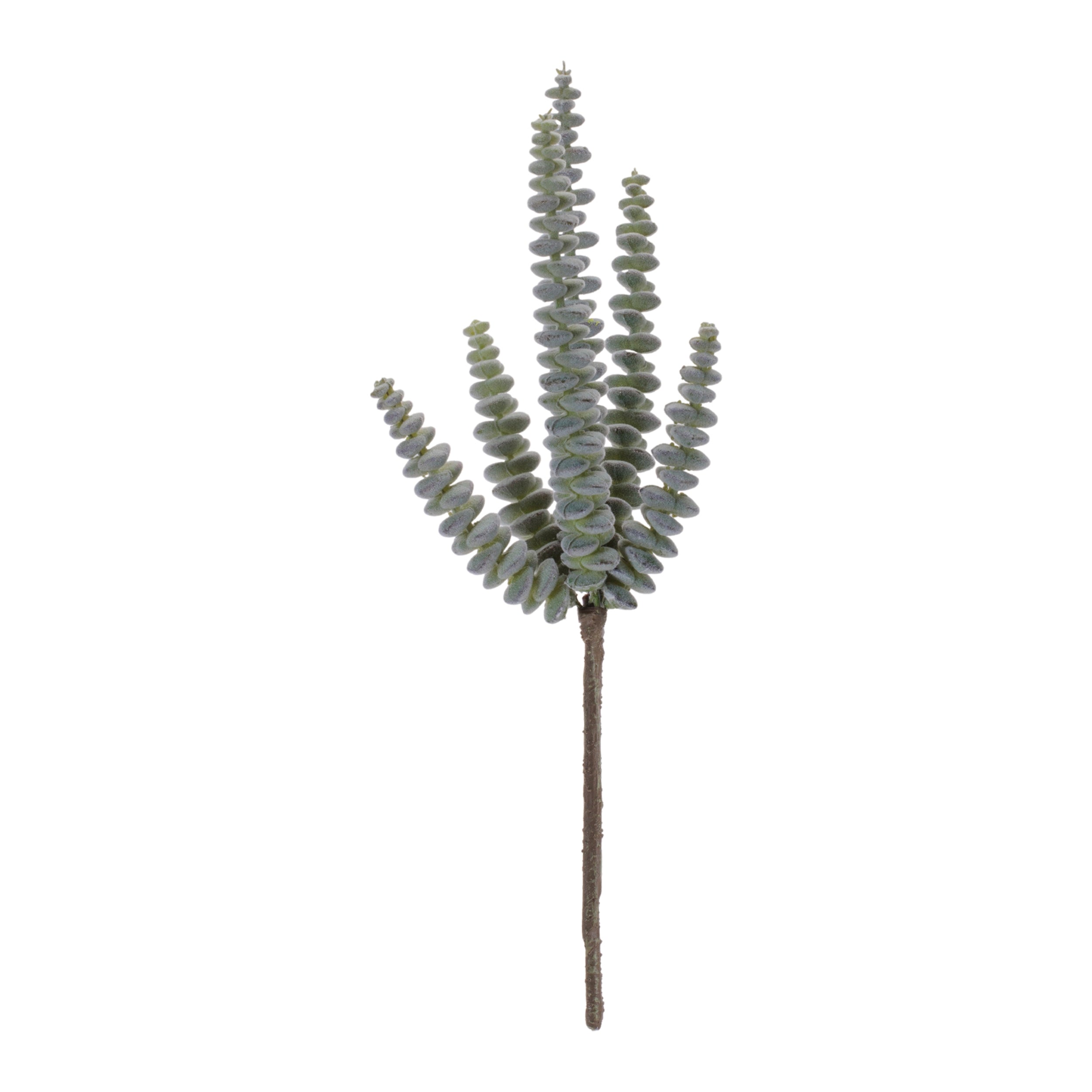 Succulent Plant Pick (Set of 6)