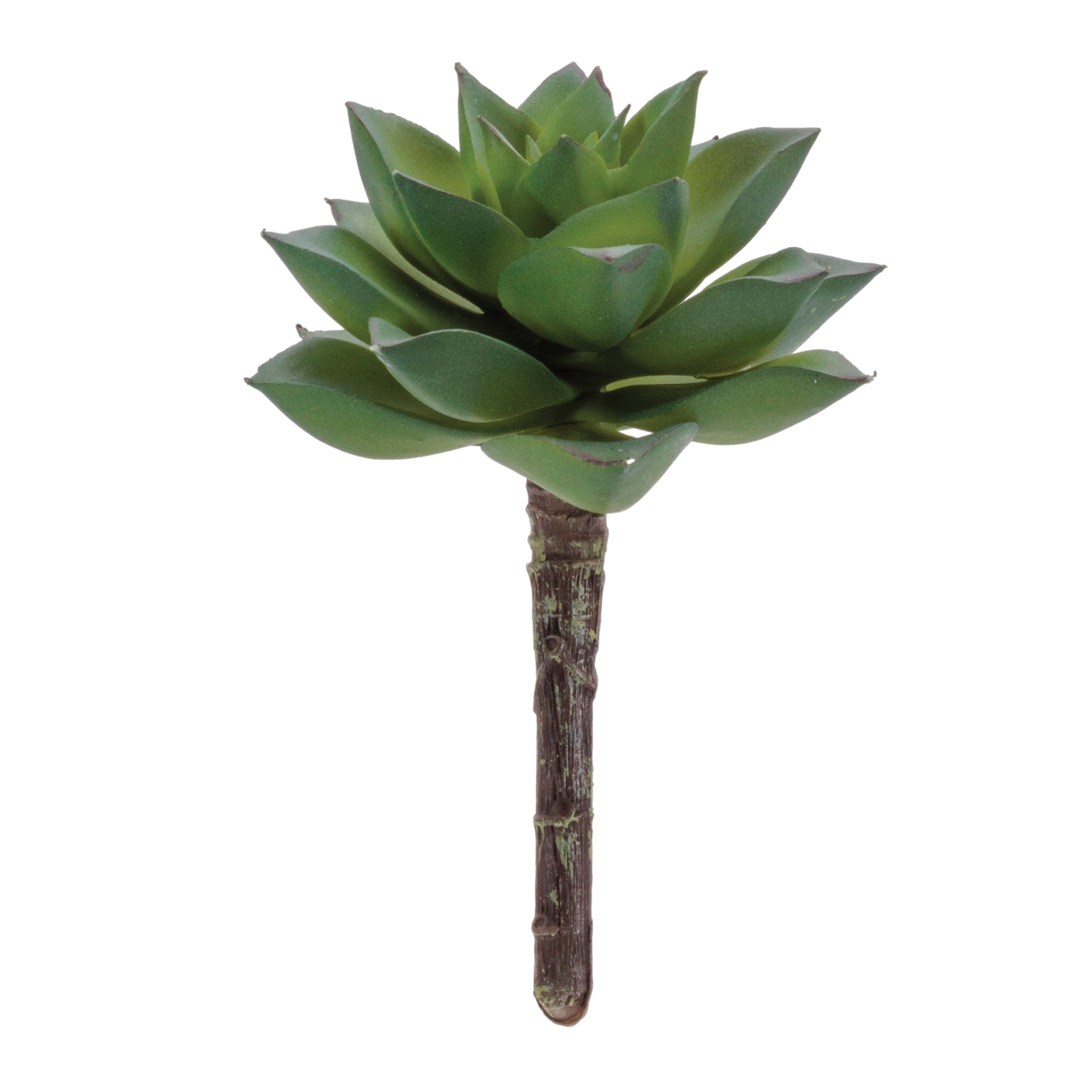 Succulent Plant Pick (Set of 12)