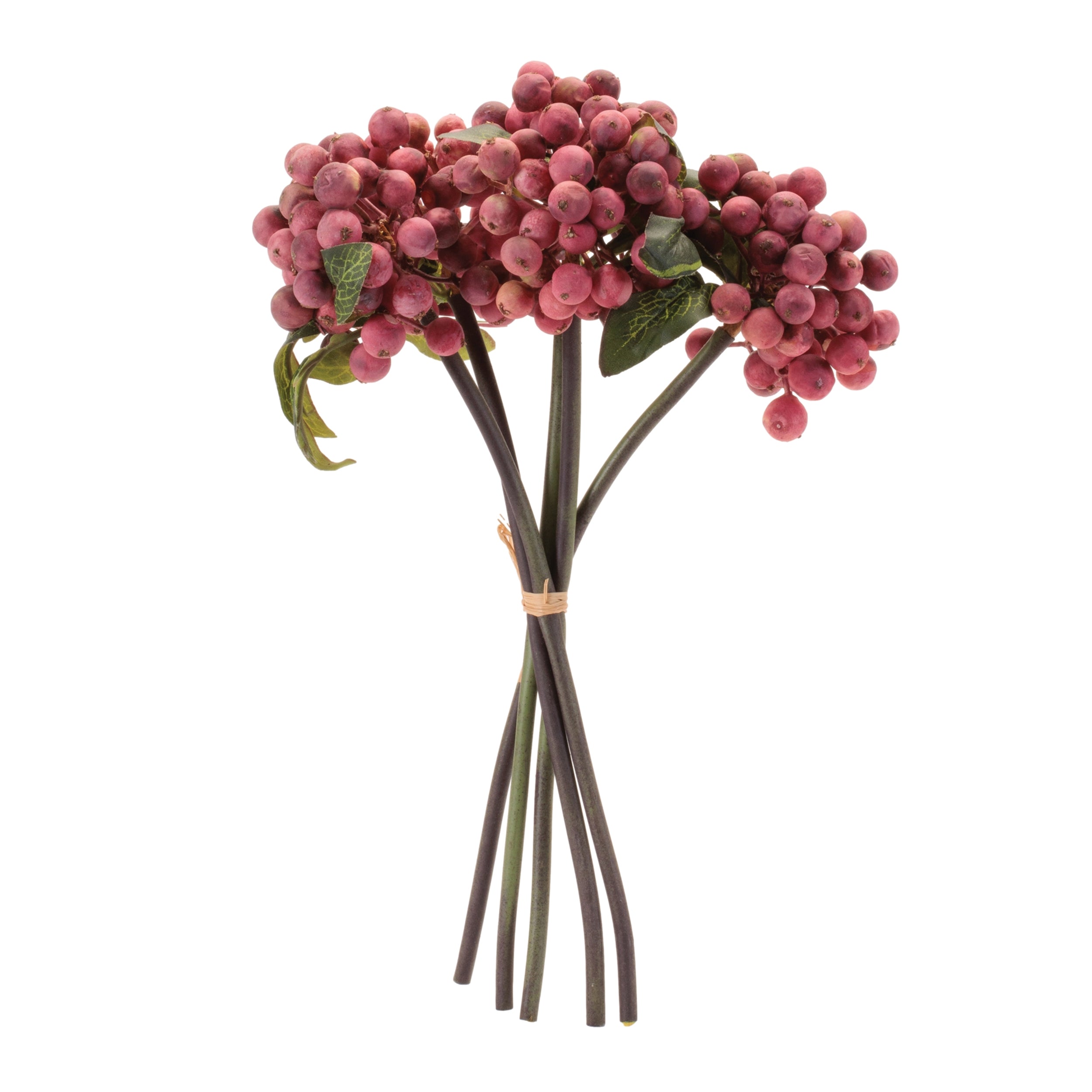 Berry Stem Bundle (Set of 4)
