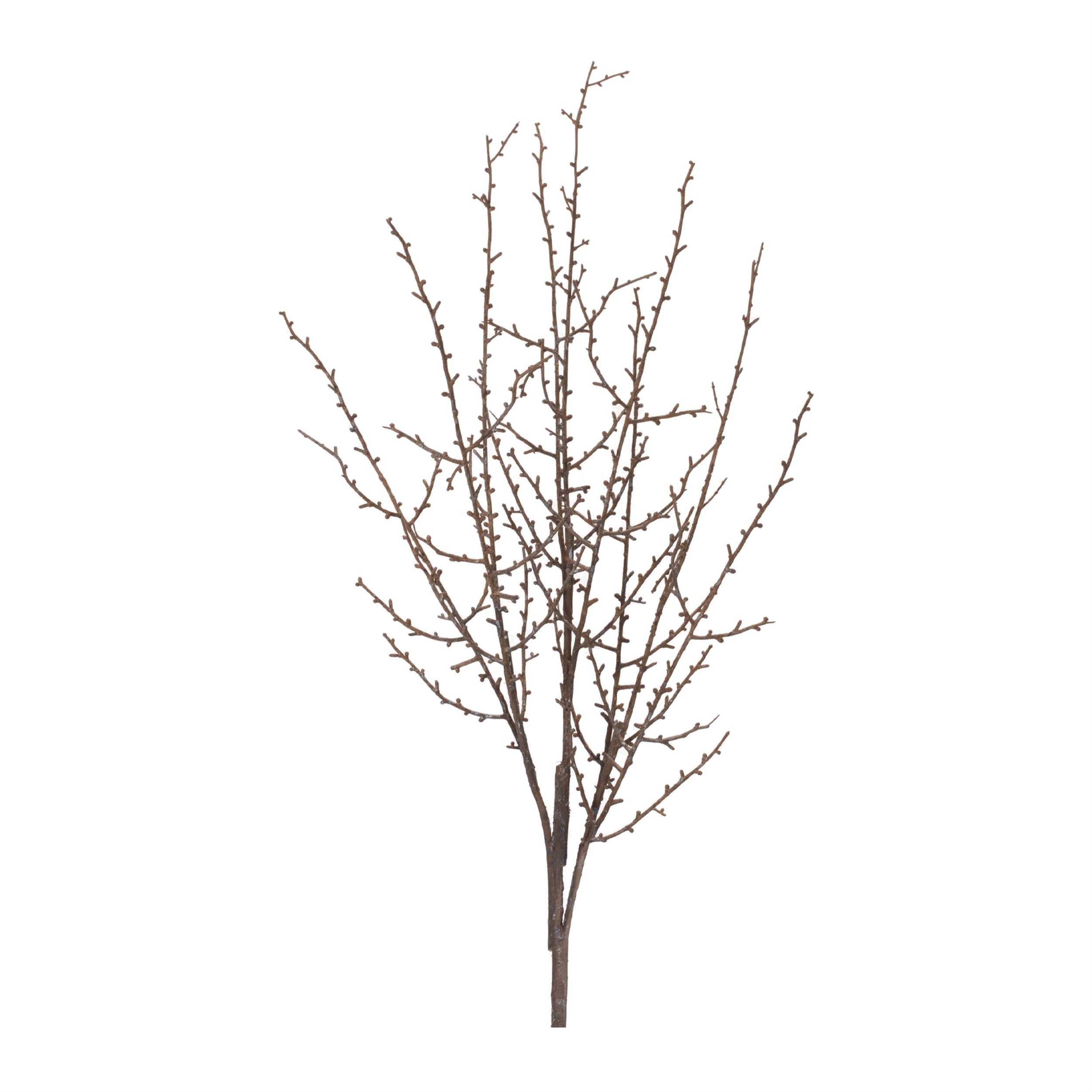 Birch Twig Branch (Set of 6)