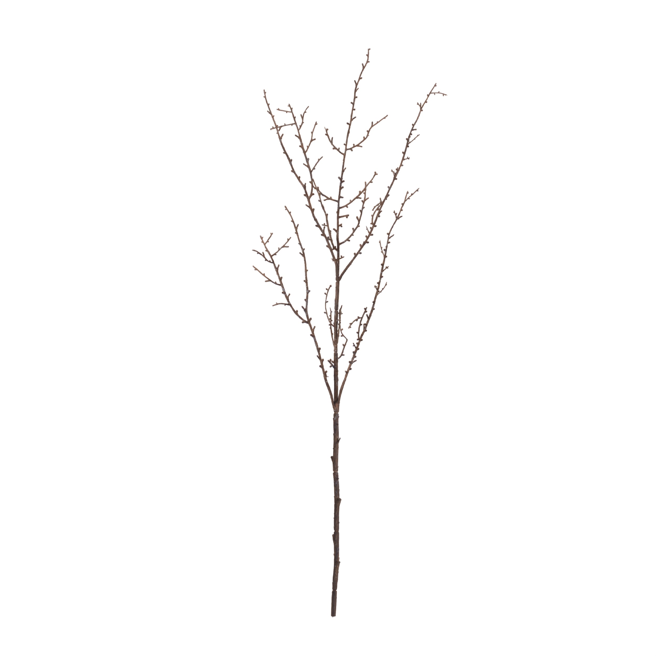 Birch Twig Branch (Set of 6)