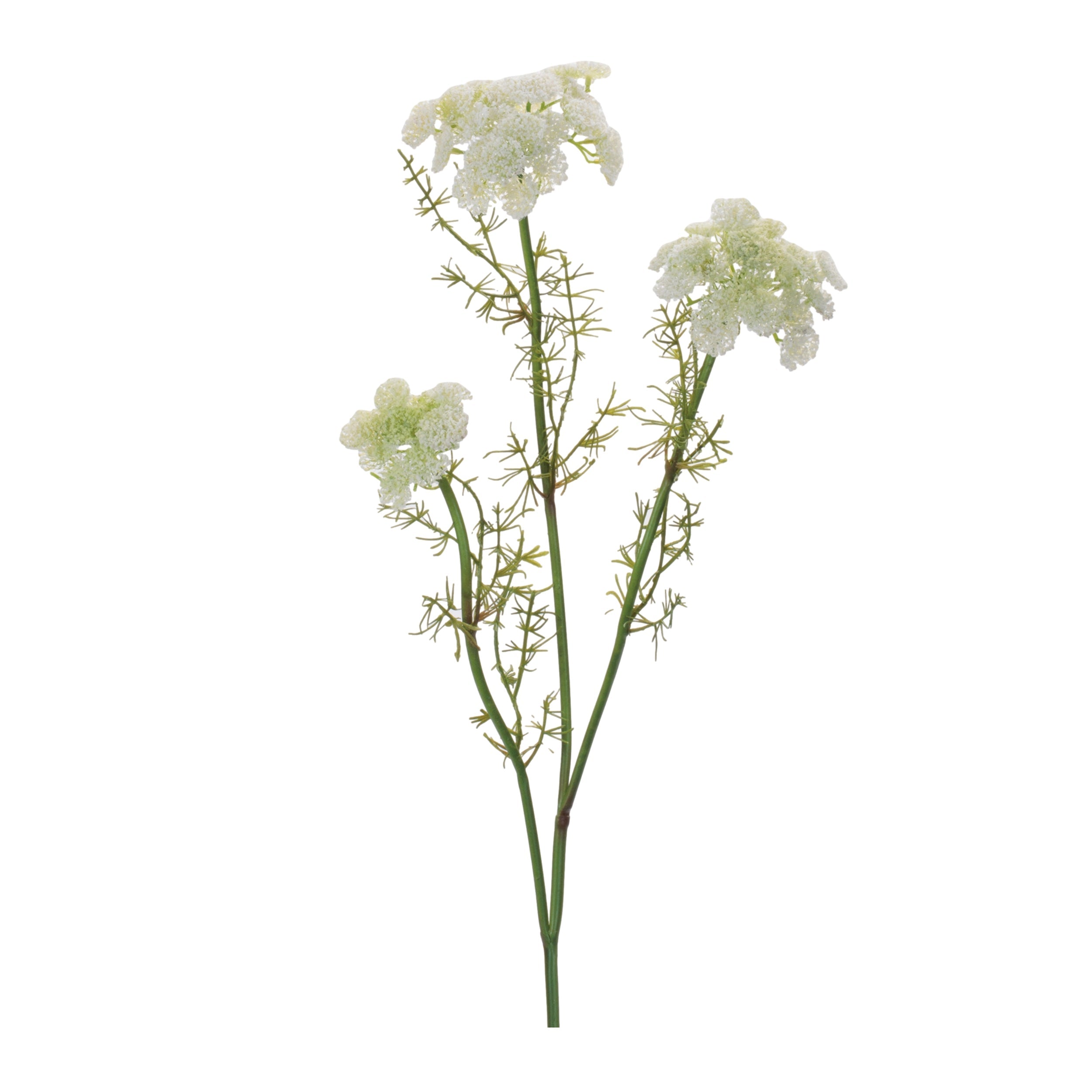 Queen-Anne's-Lace-Floral-Spray-(Set-of-6)-Artificial-Flowering-Plants