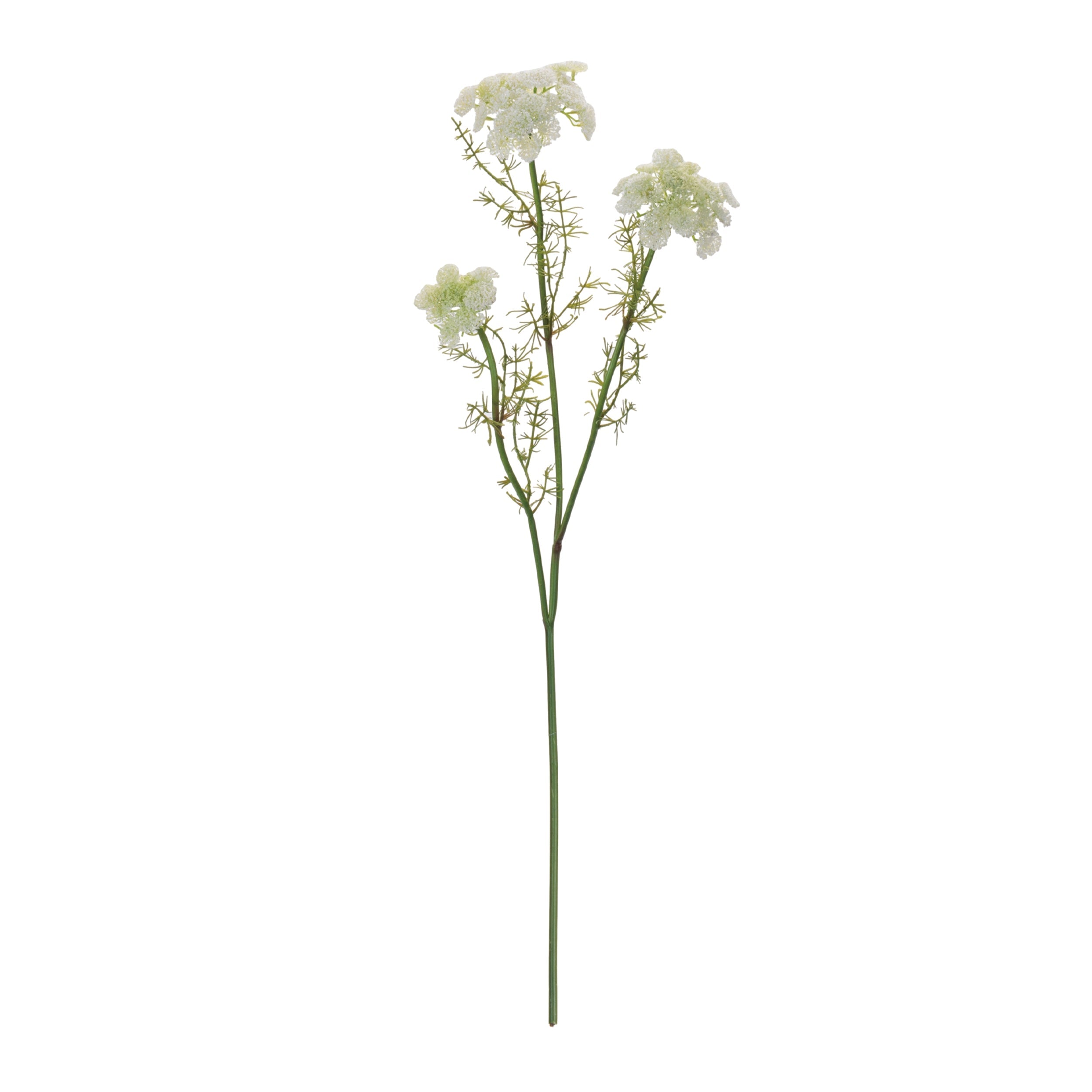 Queen Anne's Lace Floral Spray (Set of 6)