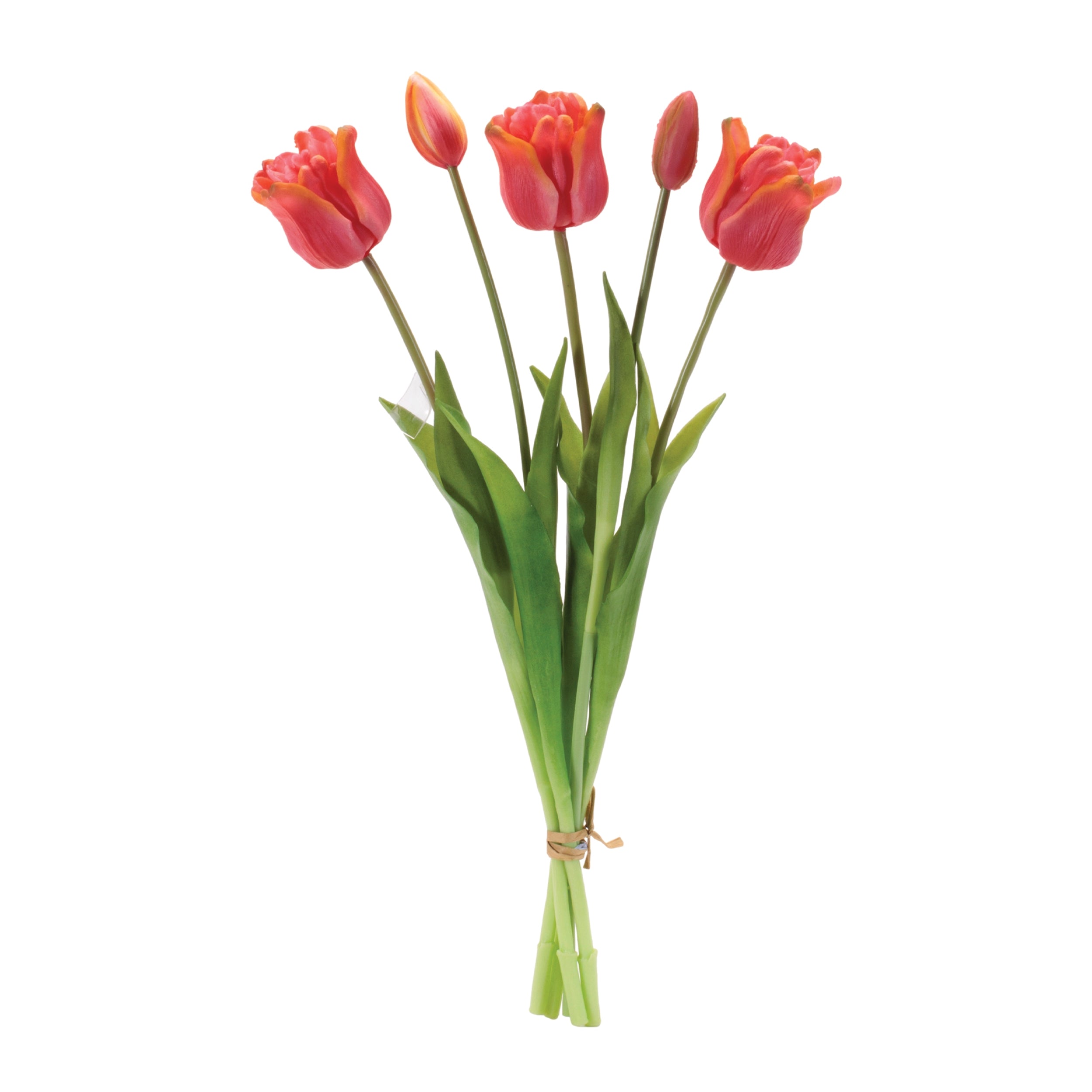 Tulip Floral Bundle (Set of 2)