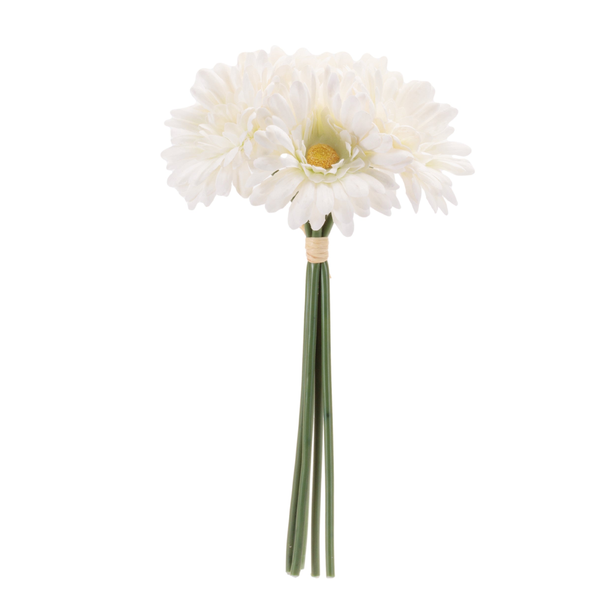 Gerbera Daisy Floral Bundle (Set of 6)
