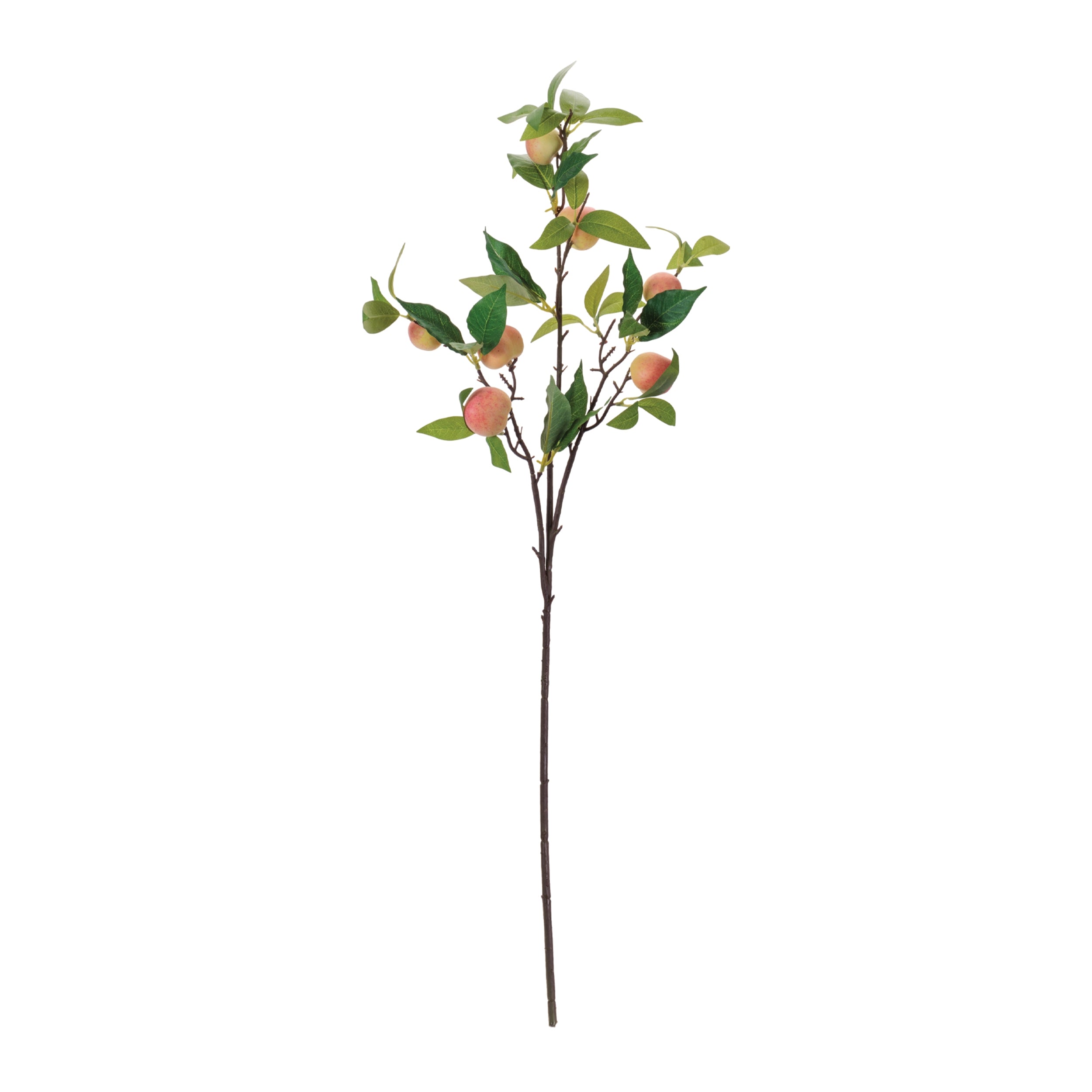 Peach Fruit Foliage Branch (Set of 6)