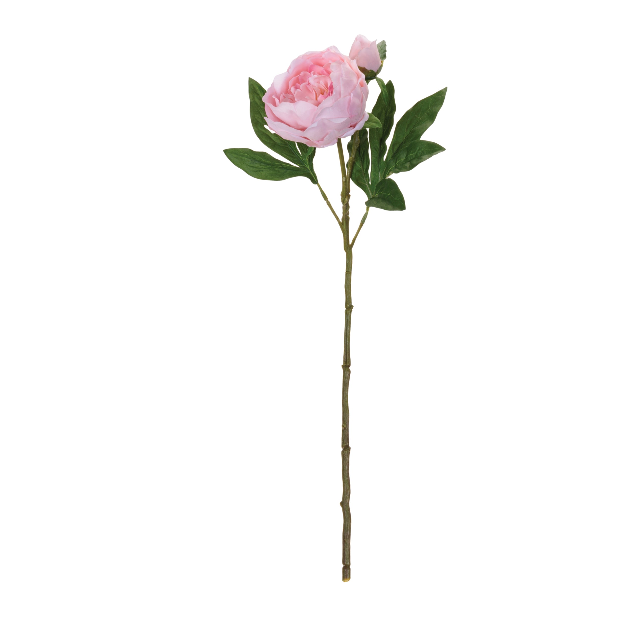 Peony Floral Spray (Set of 6)