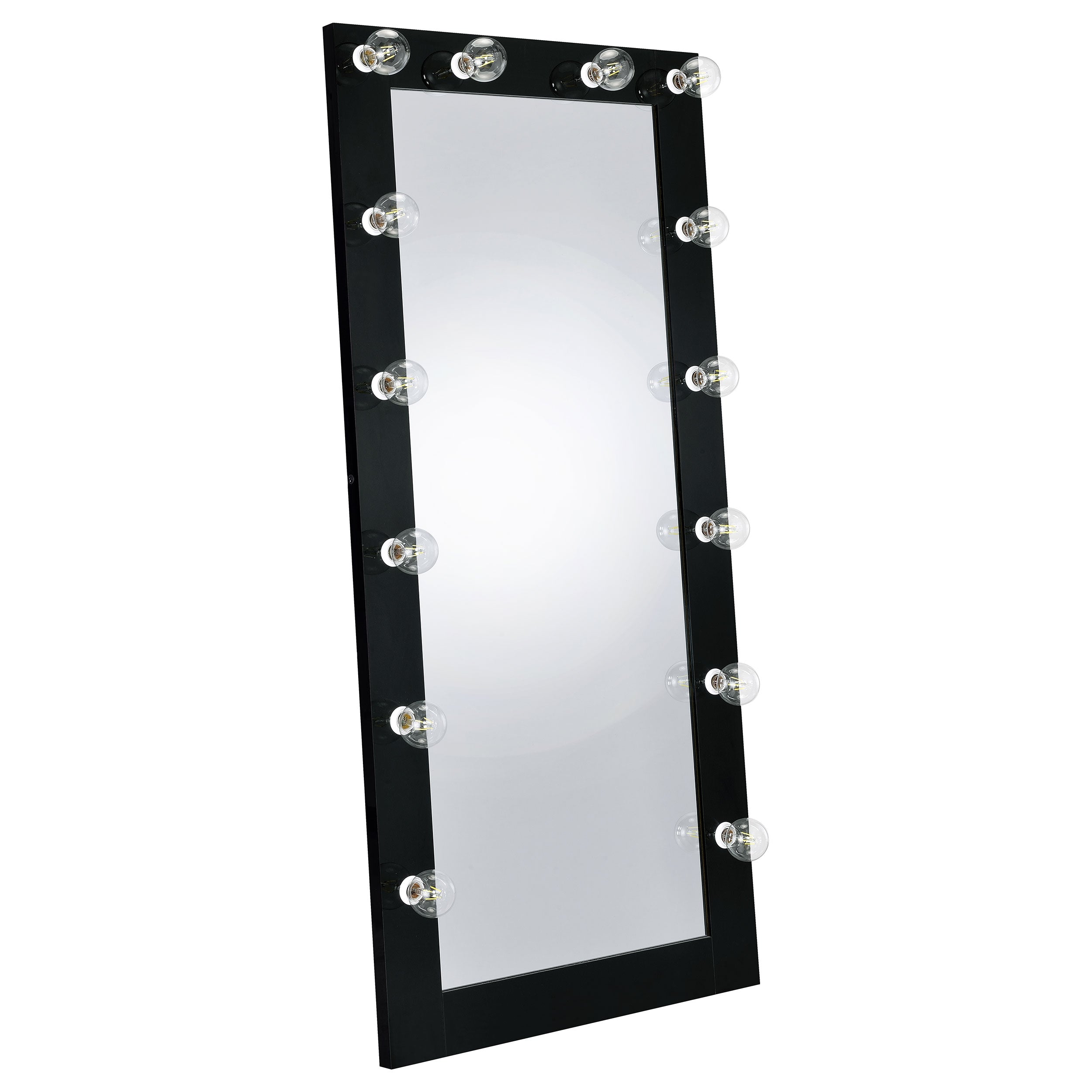 Zayan 32 x 71 Inch Floor Mirror LED Lighting Black Gloss-