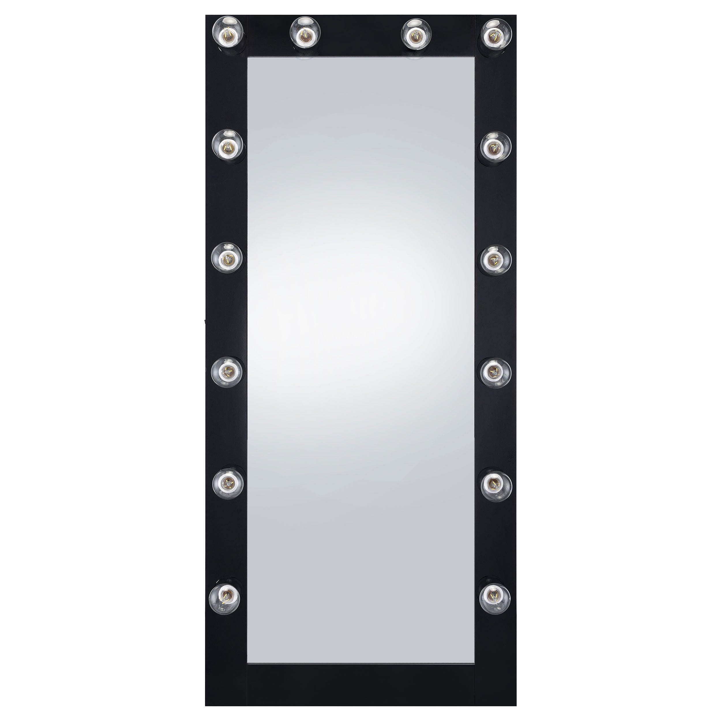 Zayan 32 x 71 Inch Floor Mirror LED Lighting Black Gloss-