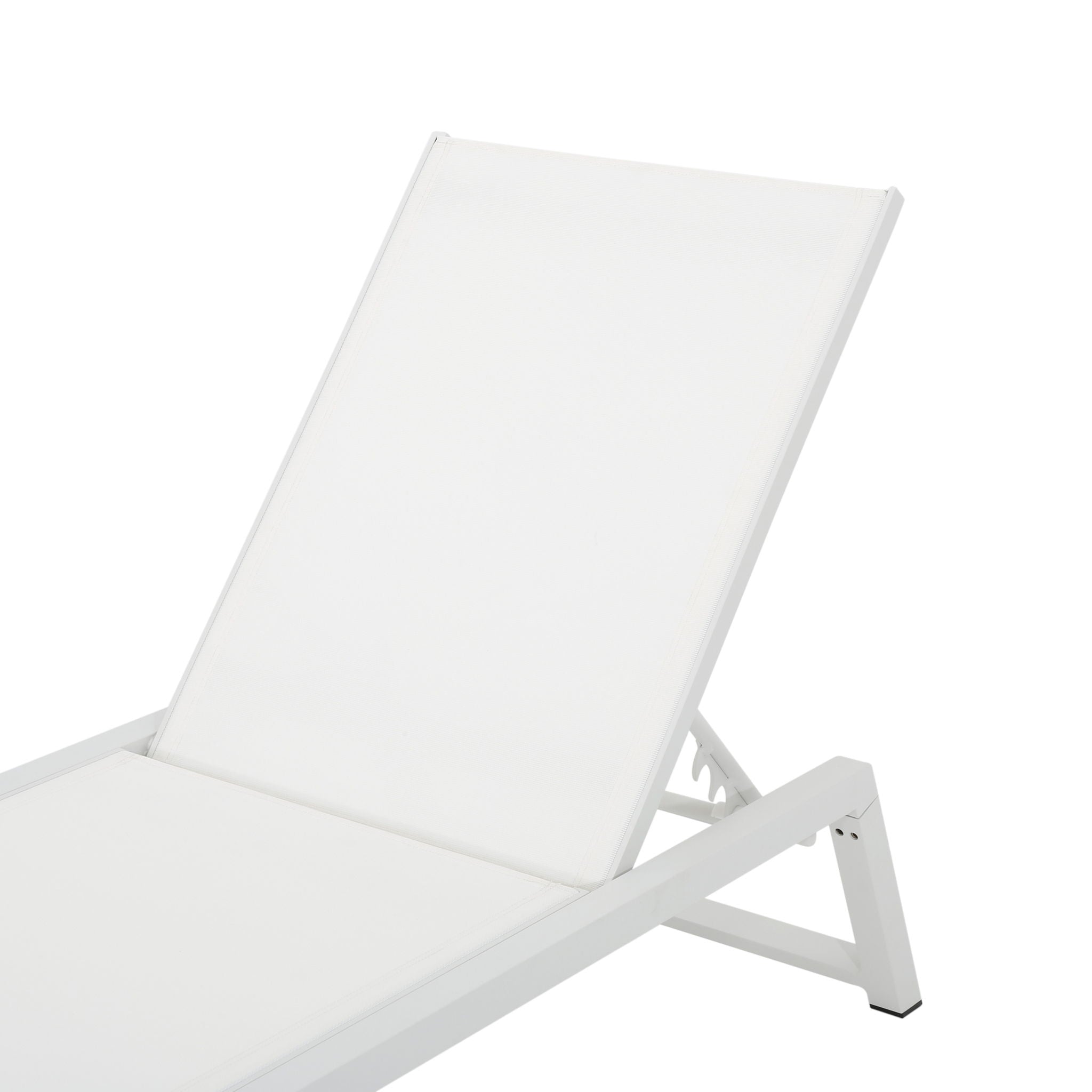 Myers - Modern Chaise Lounge Set With Adjustable Mesh Back